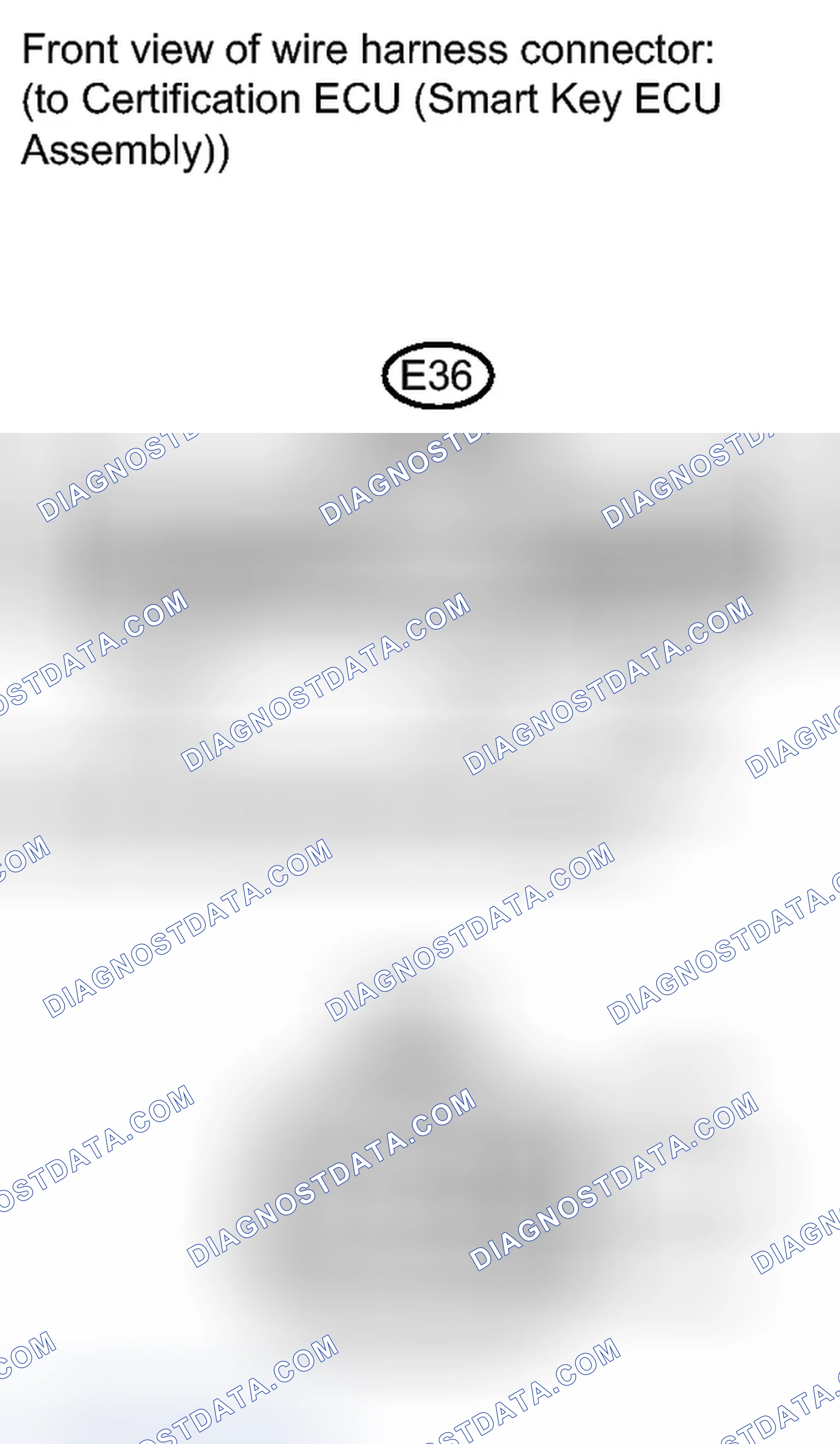 Scheme 219
