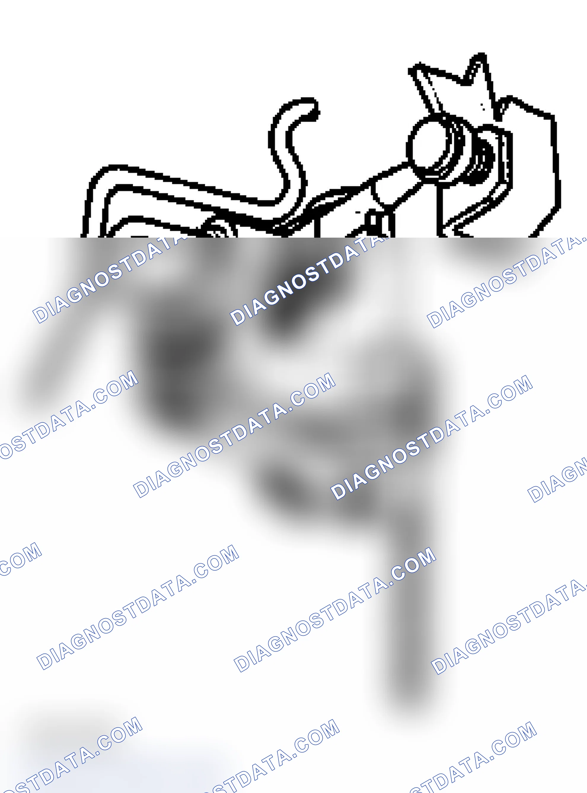 Scheme 6: Self-leveling suspension, adjusting