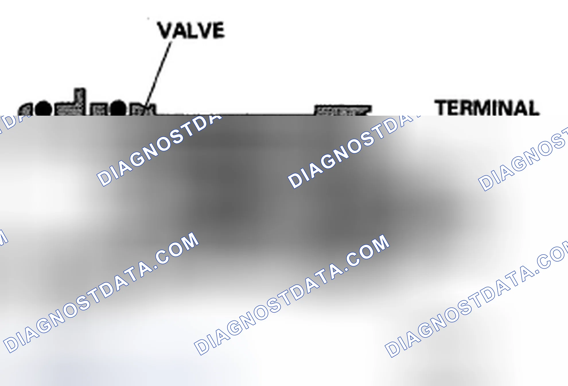 Scheme 59: EVAP Canister Vent Shut Valve
