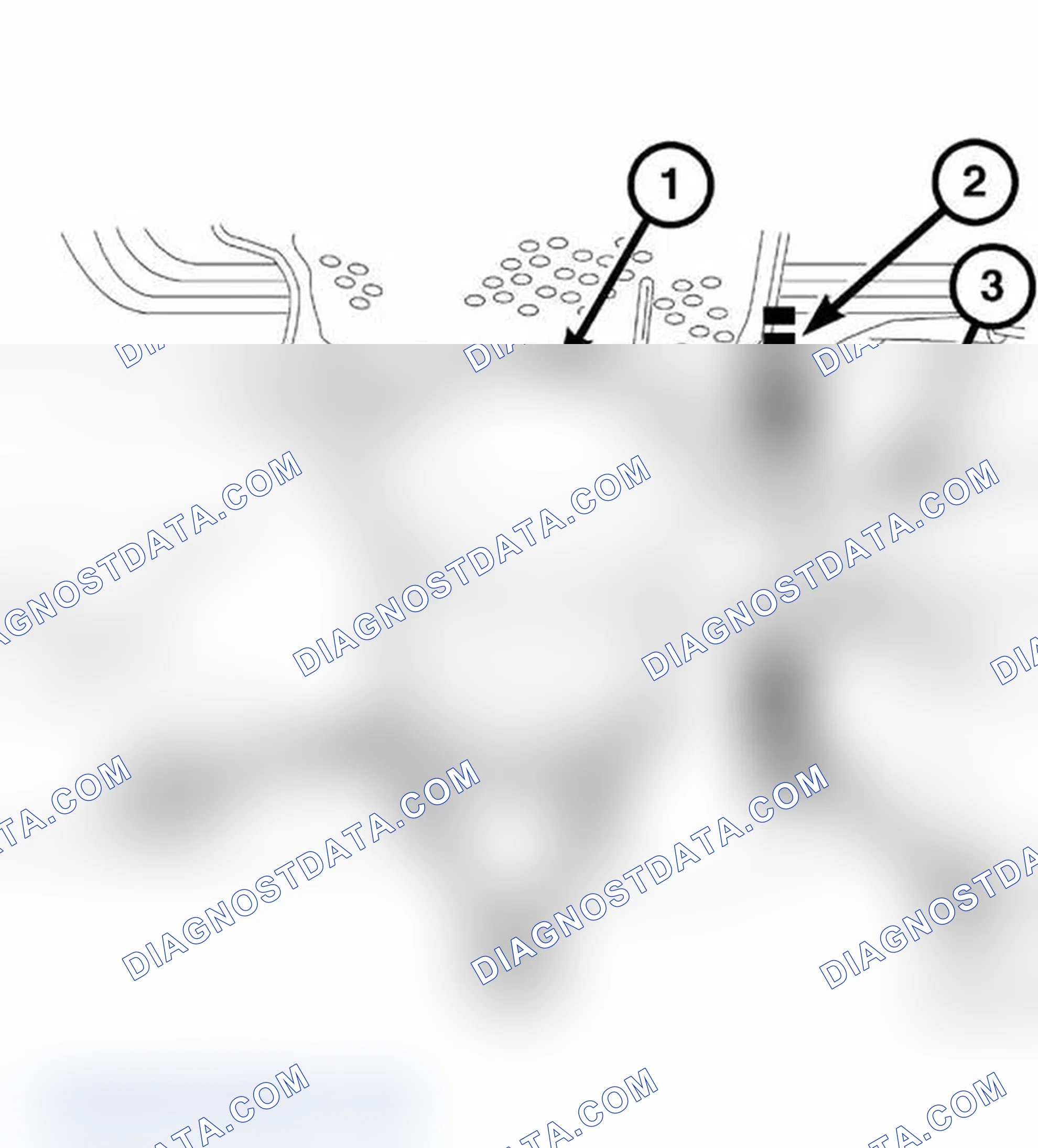 Scheme 918: Diagnostic Test