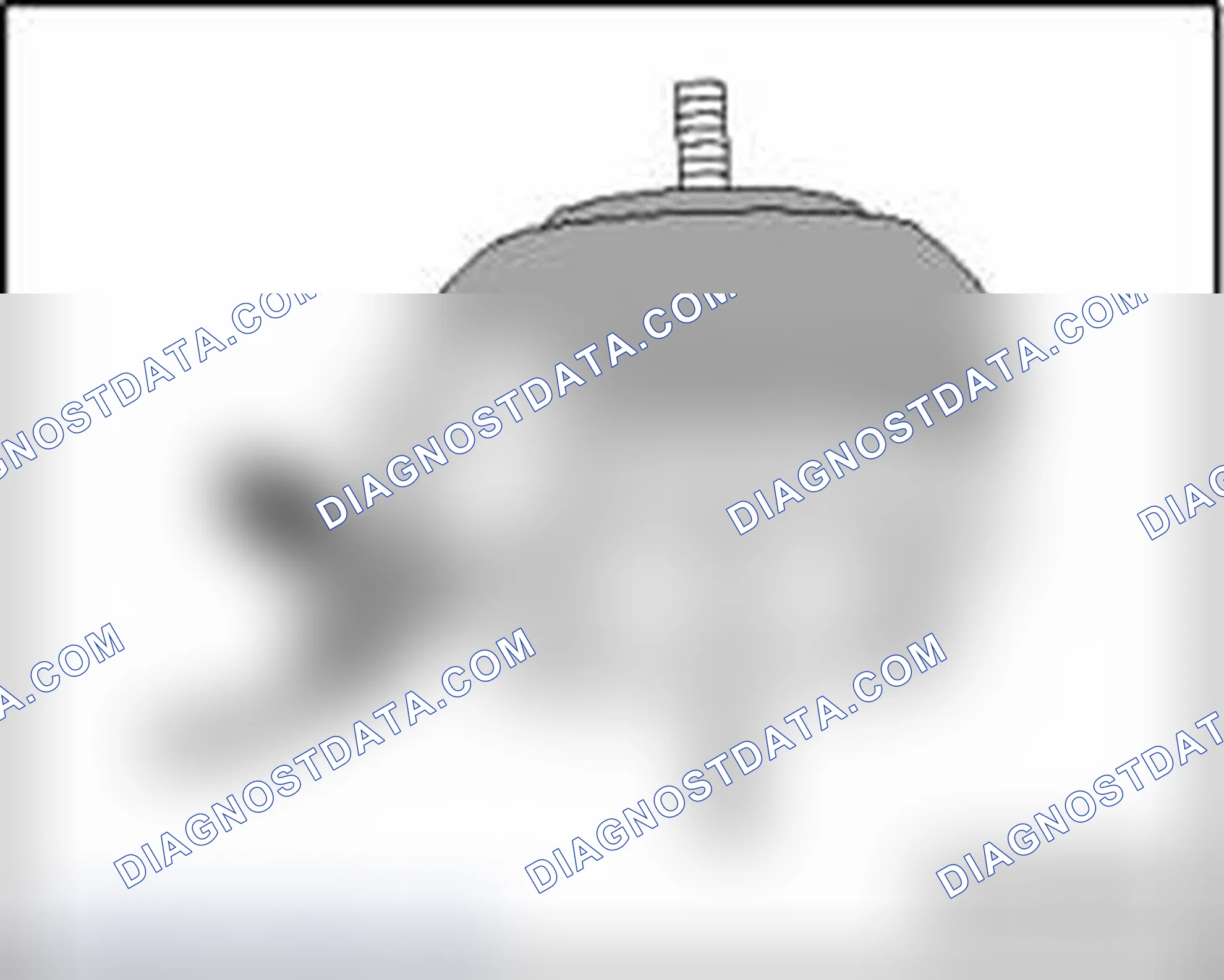Scheme 728: Leak Detection Pump (LDP) N144 or Right Electro-Hydraulic Engine Mount Solenoid Valve N145 installat