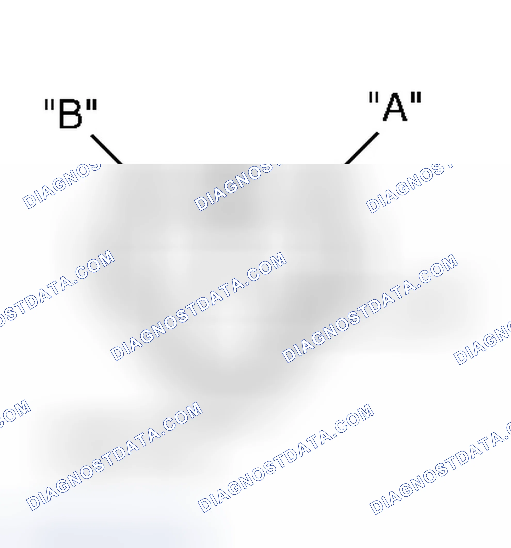 Scheme 37