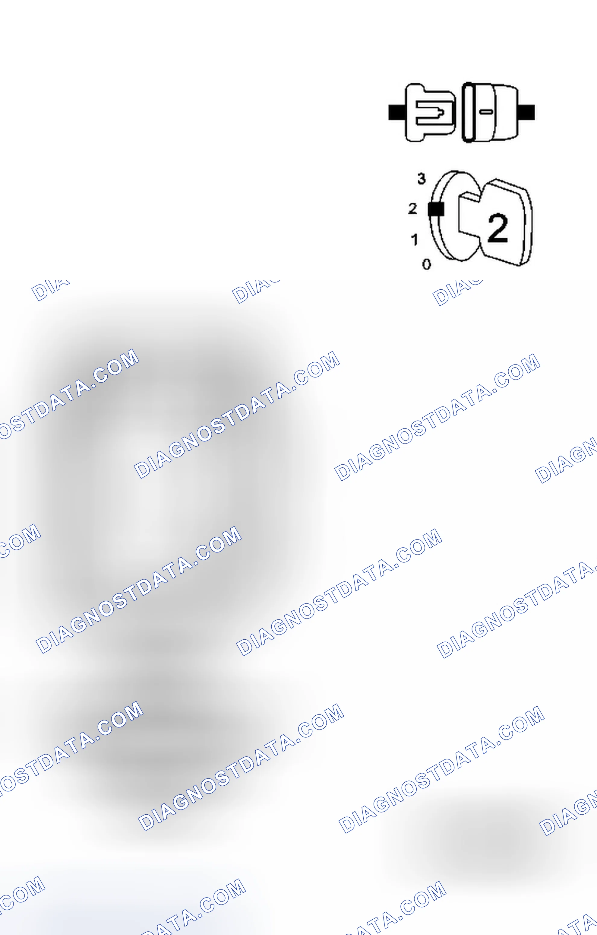 Scheme 39: Diagnostic Test