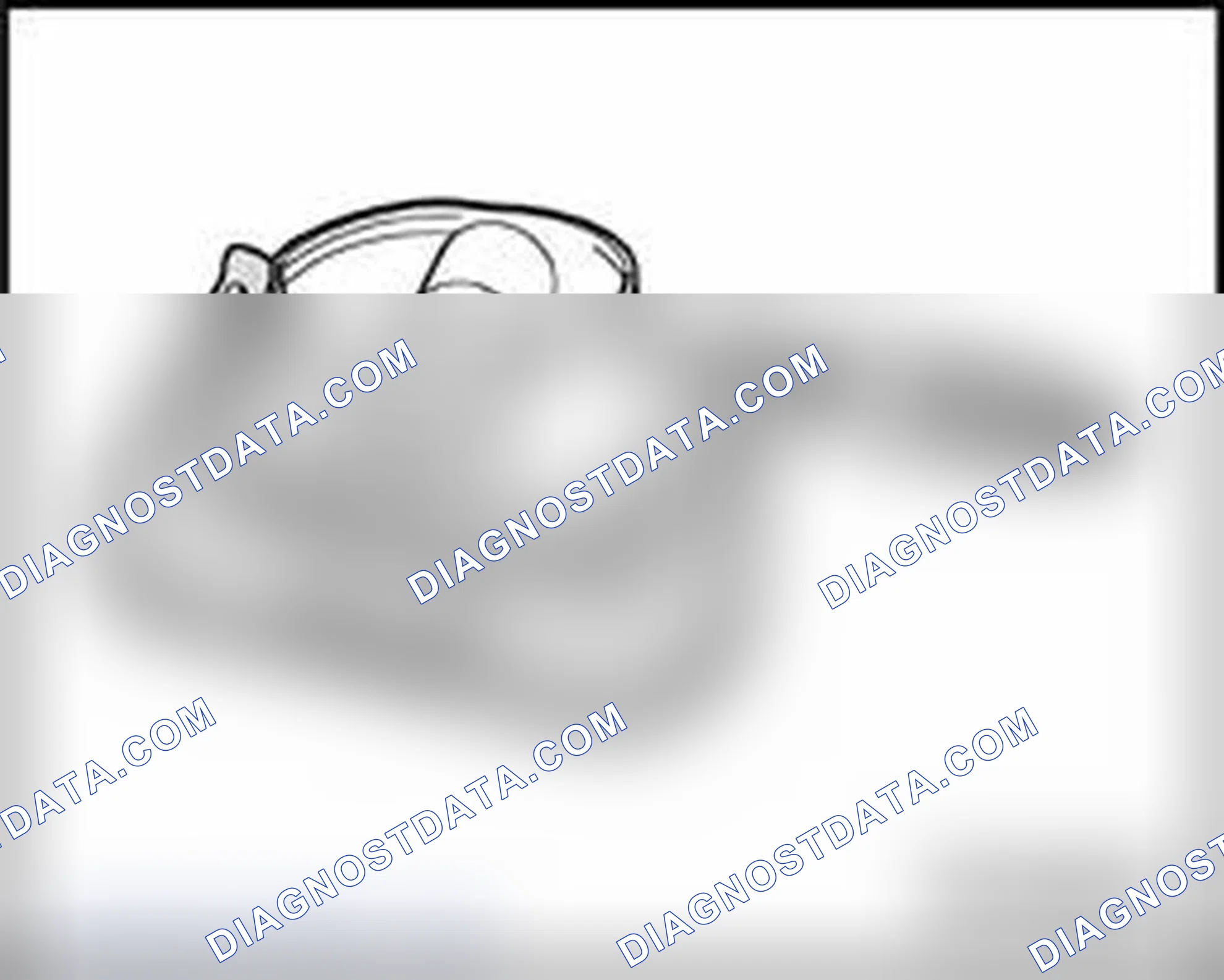 Scheme 201: Checking piston