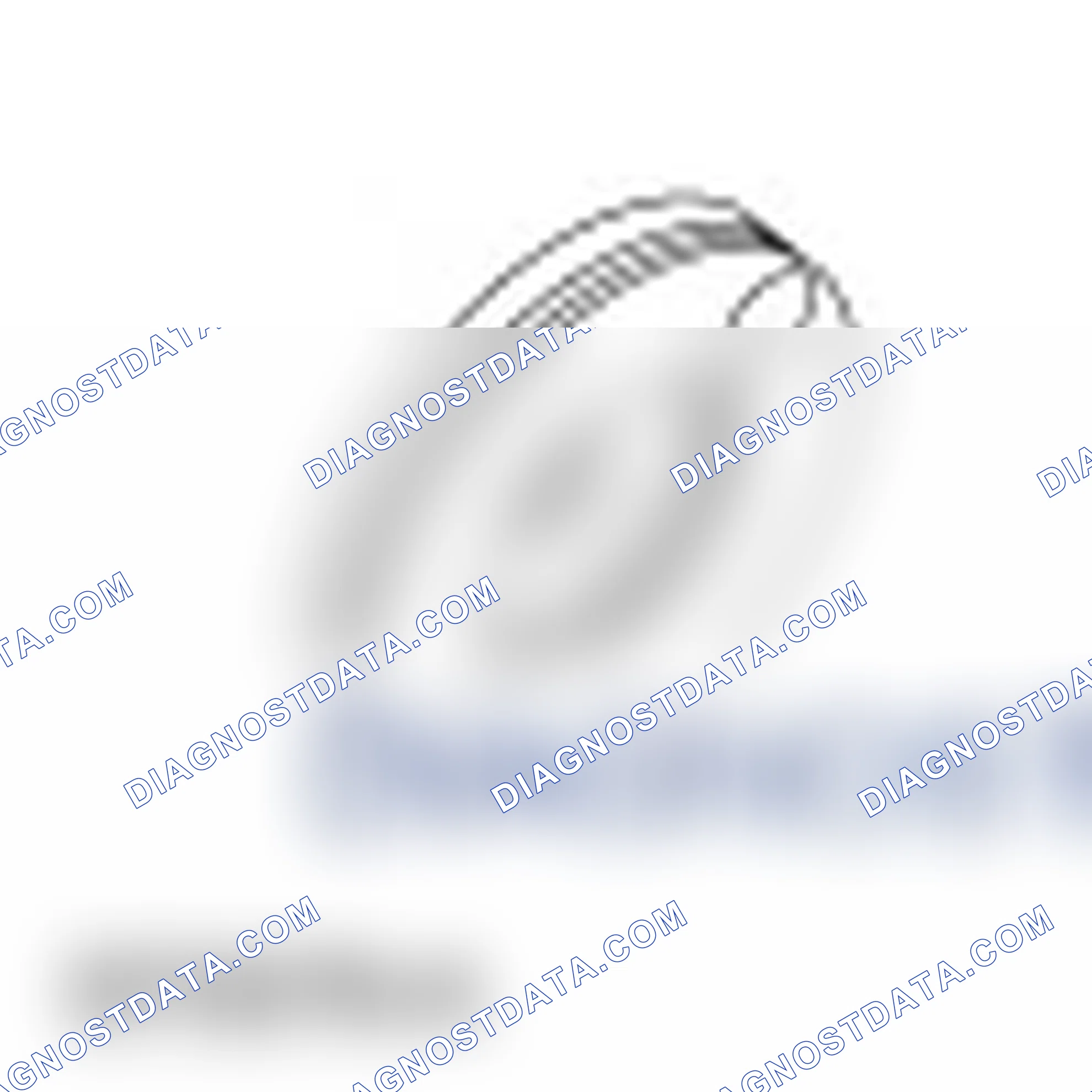 Scheme 52: Crankshaft Rear Seal