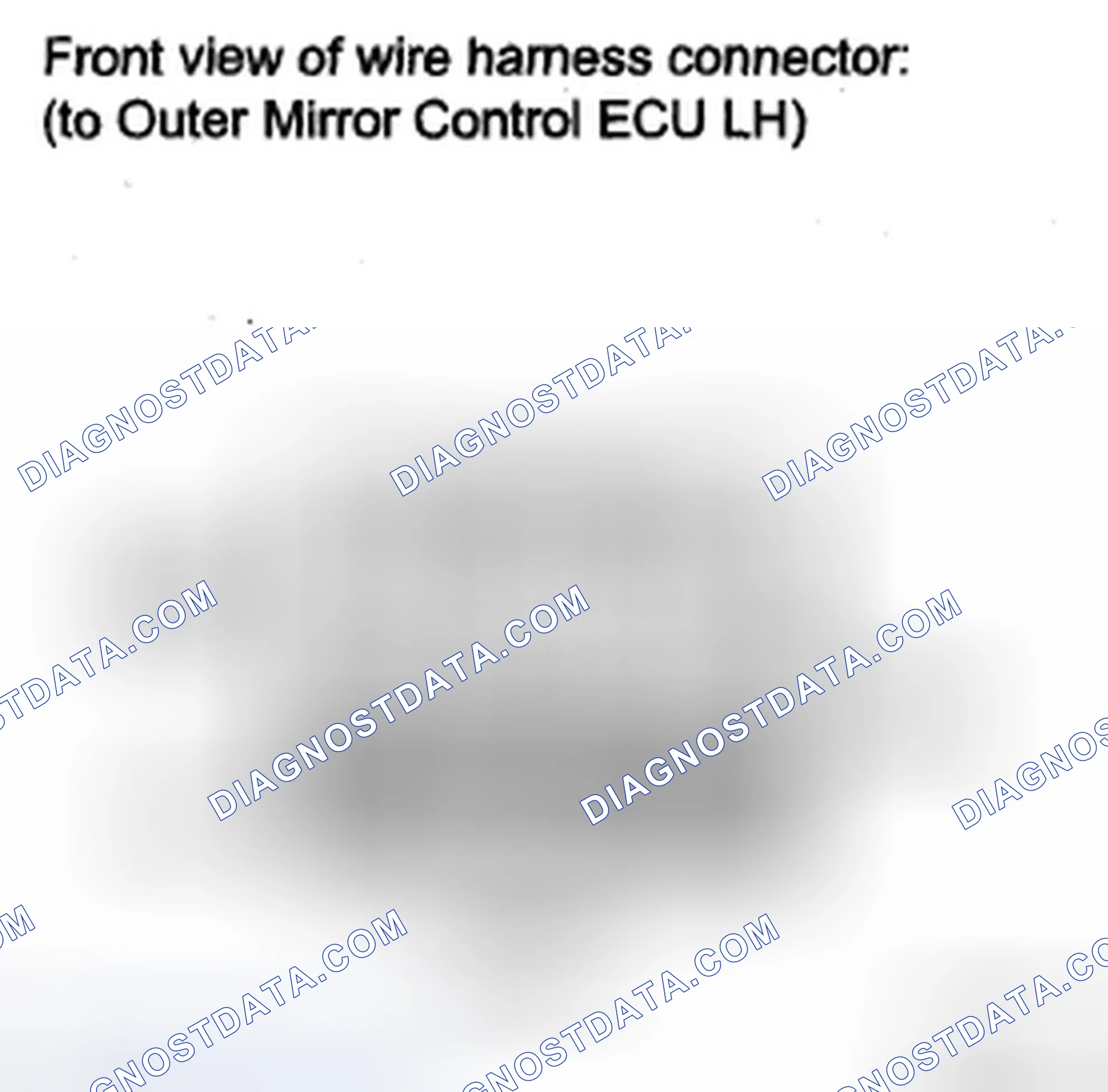 Scheme 98: INSPECTION PROCEDURE