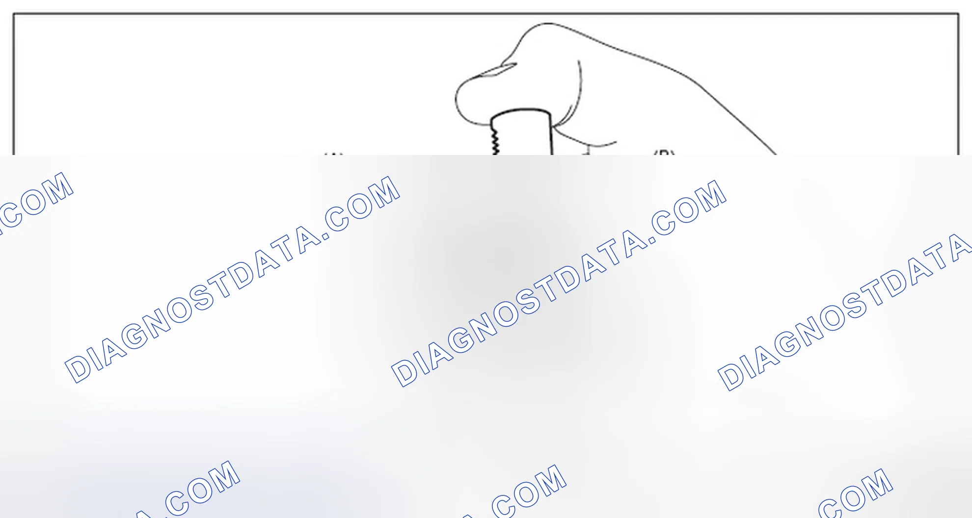 Scheme 201: TIMING CHAIN RH