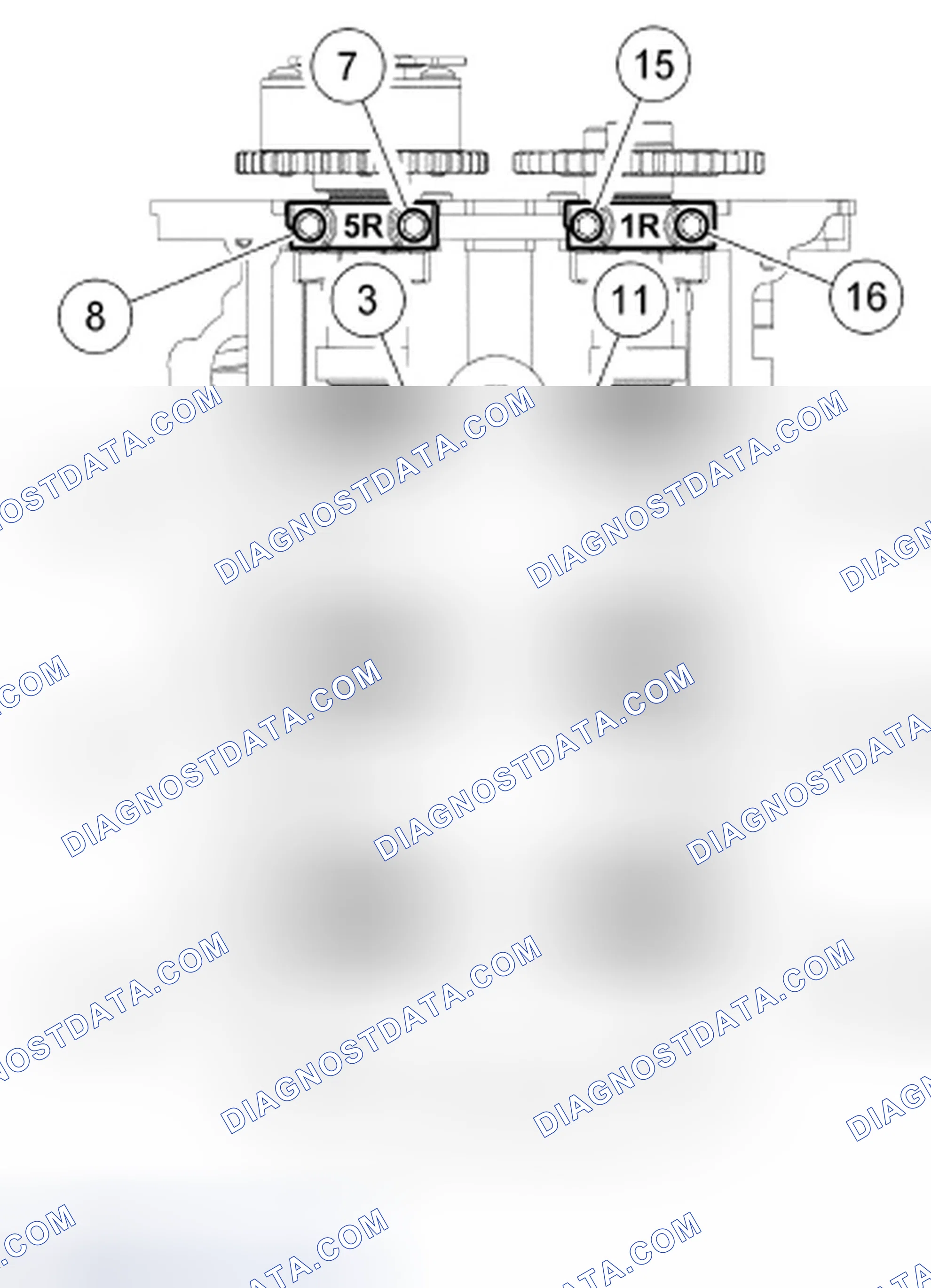 Scheme 519