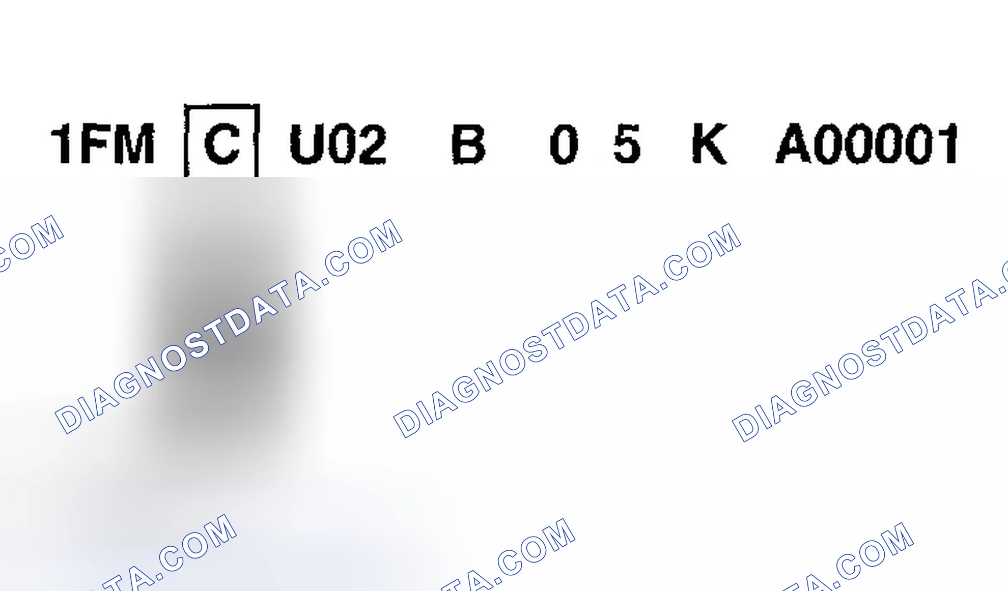 Scheme 3: Brakes System, GVWR, Restraint Type Code