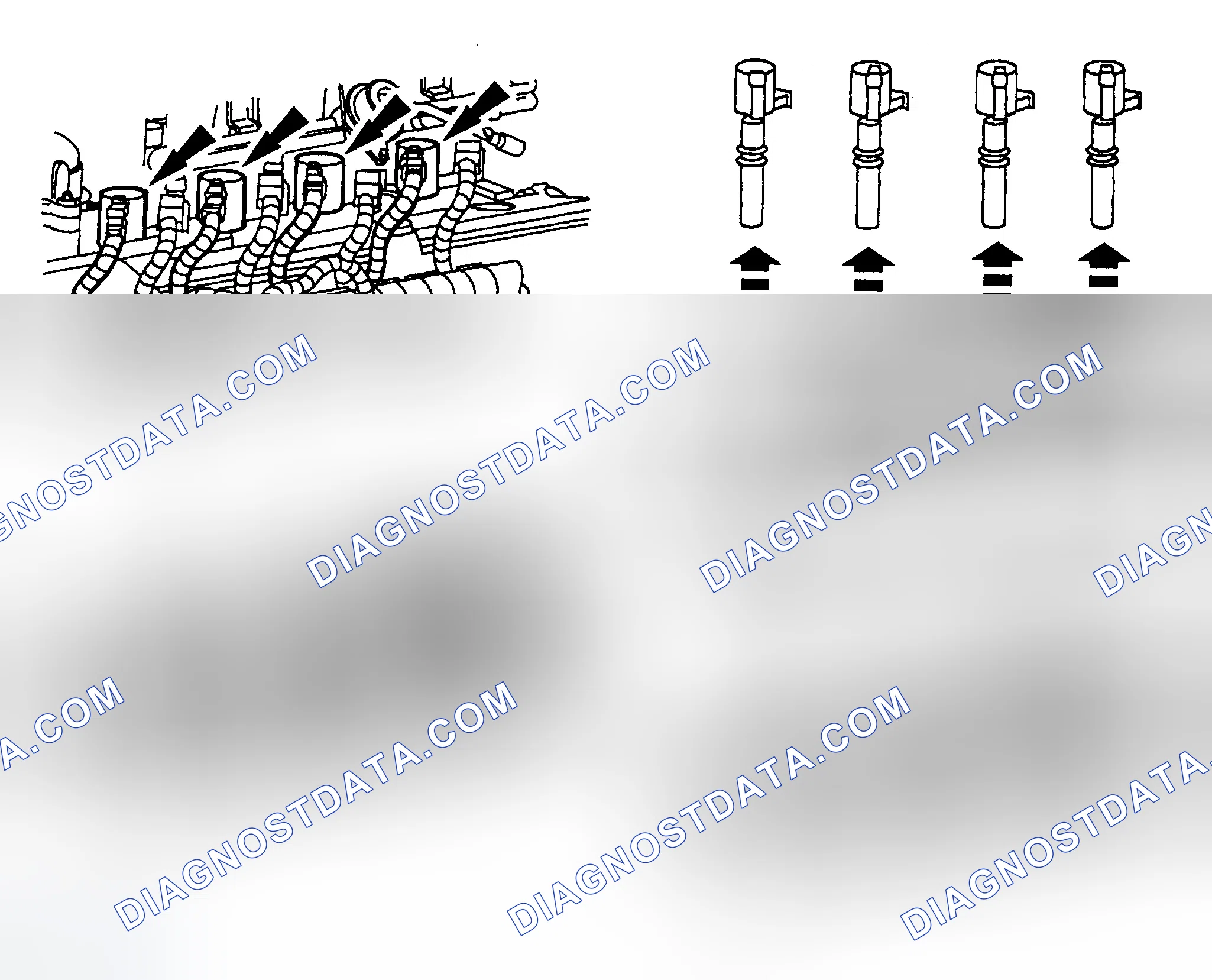 Scheme 18: Spark Plug Coils (4.6L & 5.4L)