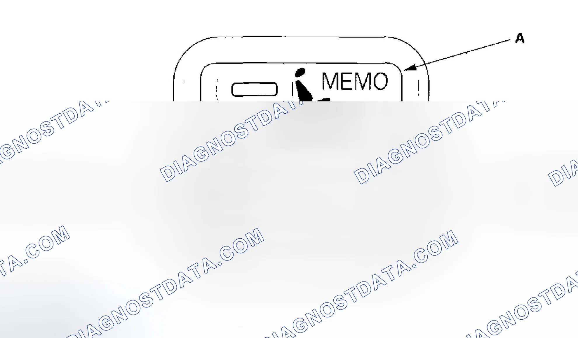 Scheme 13: Displaying the Diagnostic Trouble Code (DTC)