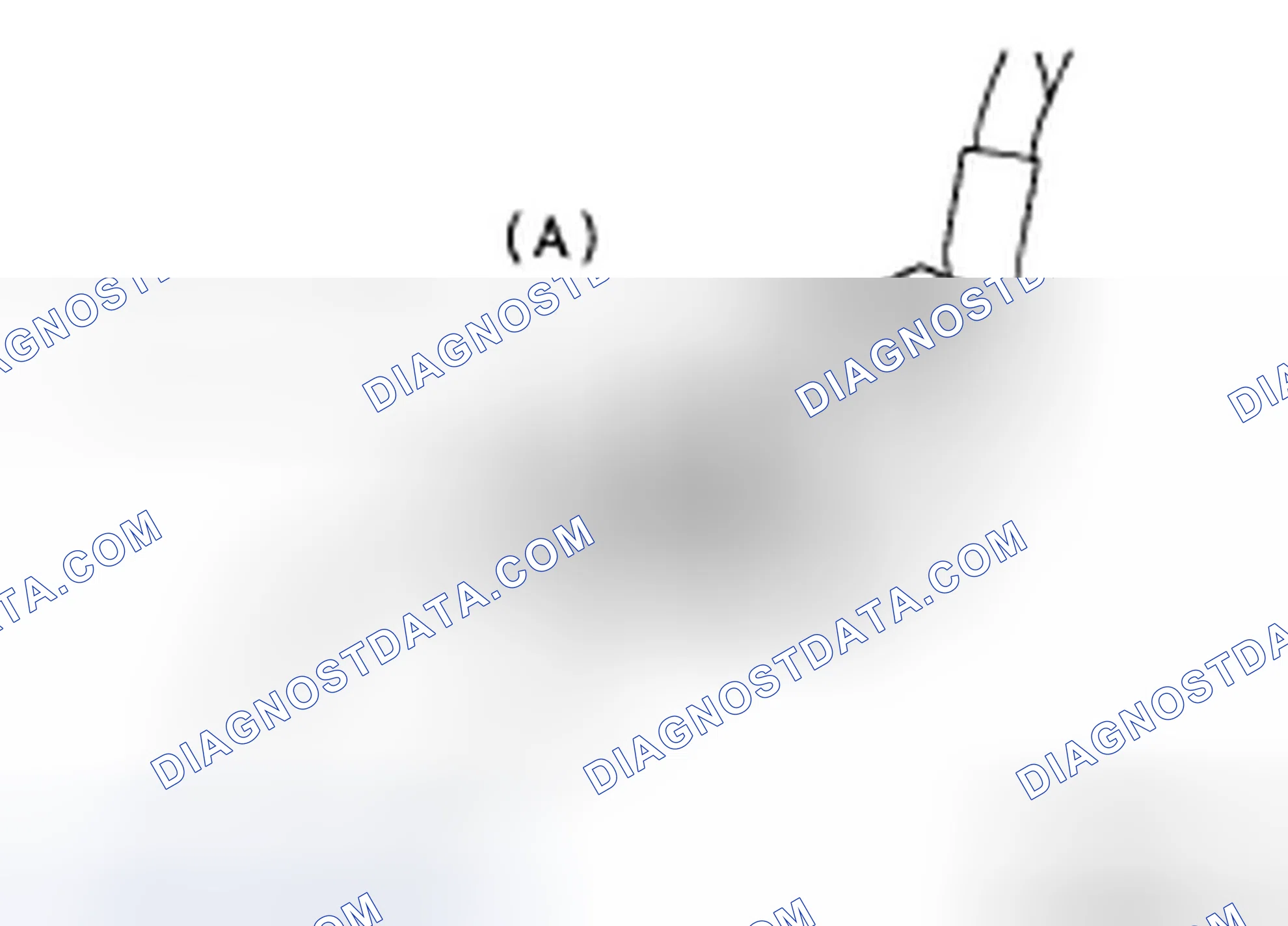 Scheme 125