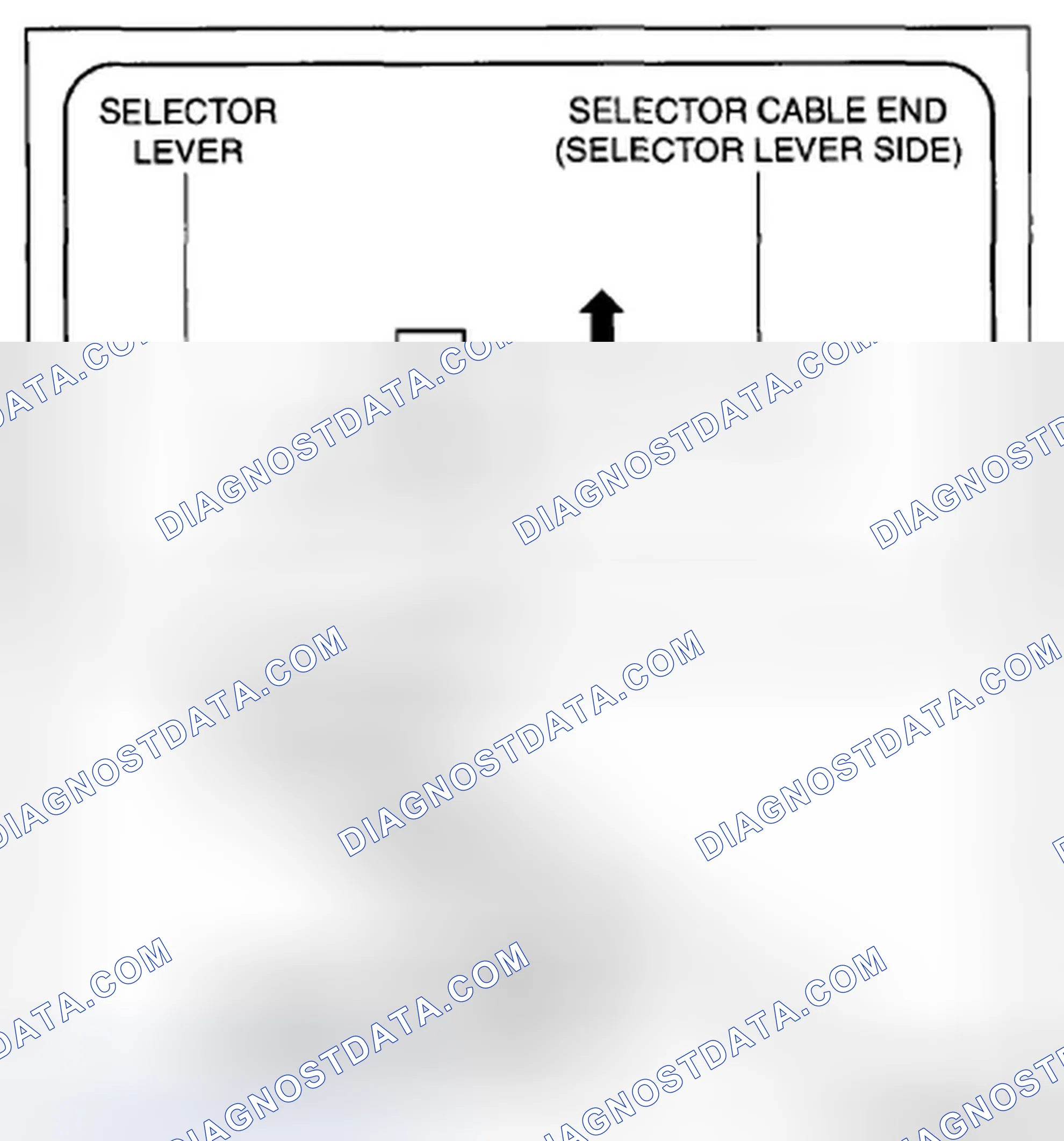 Scheme 1241