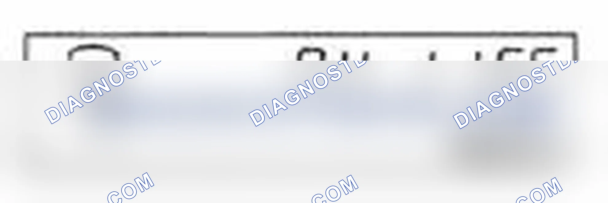 Scheme 23: Engine Oil Life Monitor Display Example