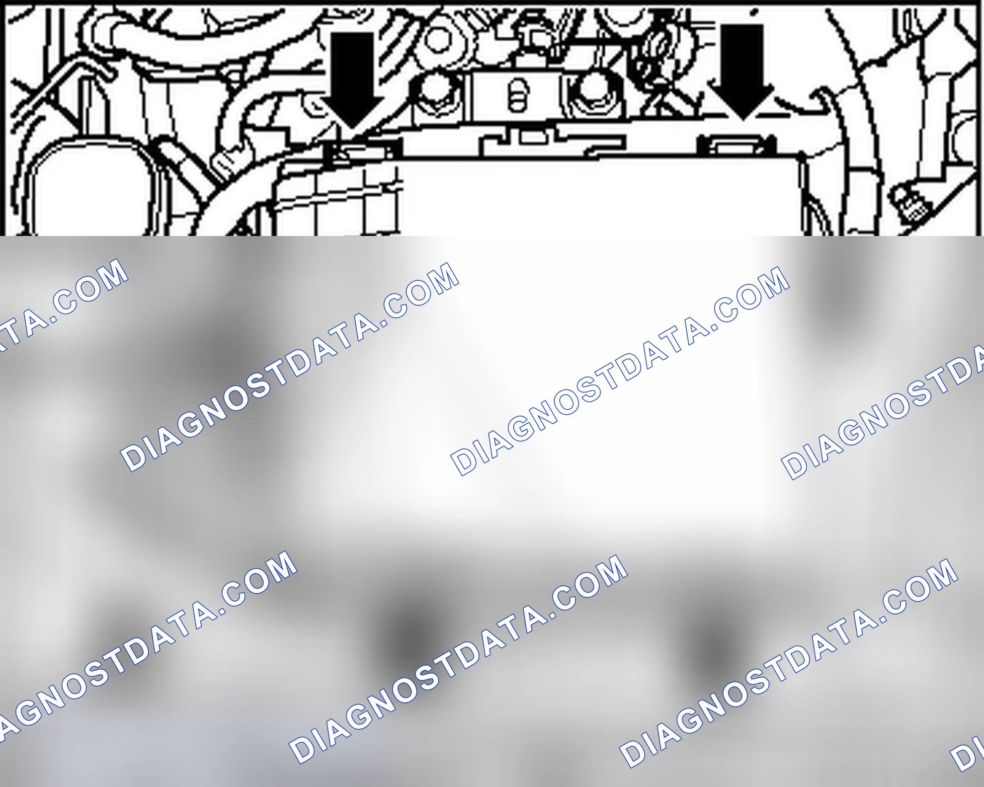 Scheme 348