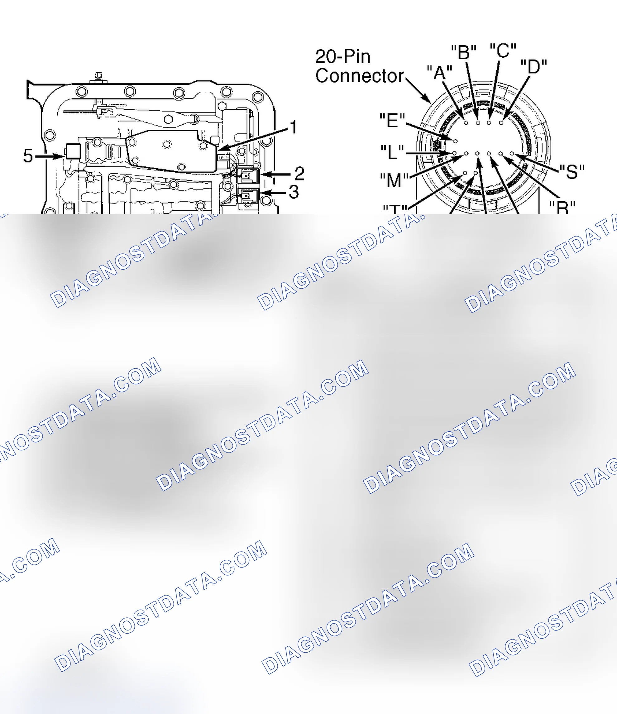Scheme 186: Identifying Component & Connector Terminal Locations Courtesy of General Motors Corp.