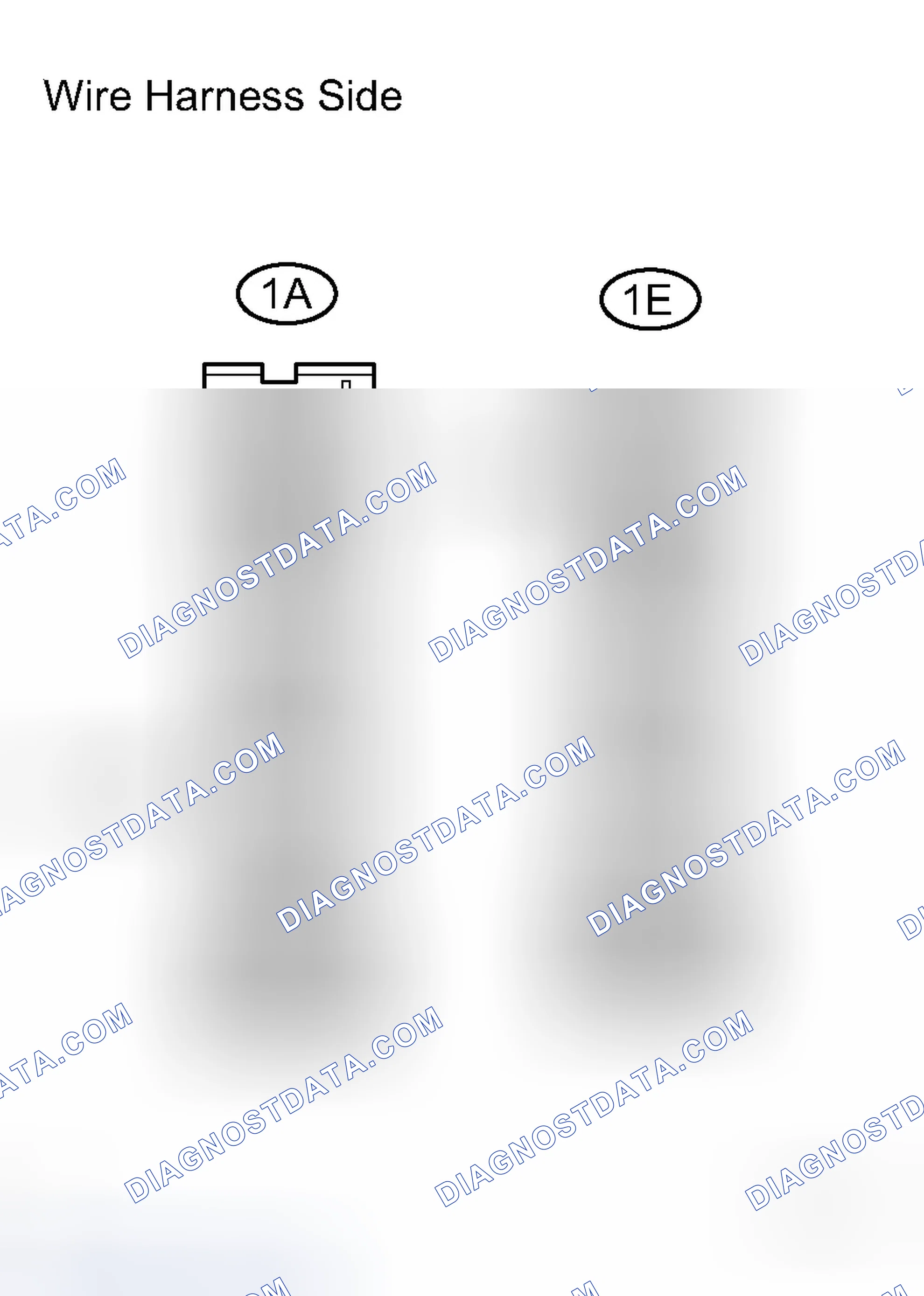 Scheme 82: INSPECTION PROCEDURE