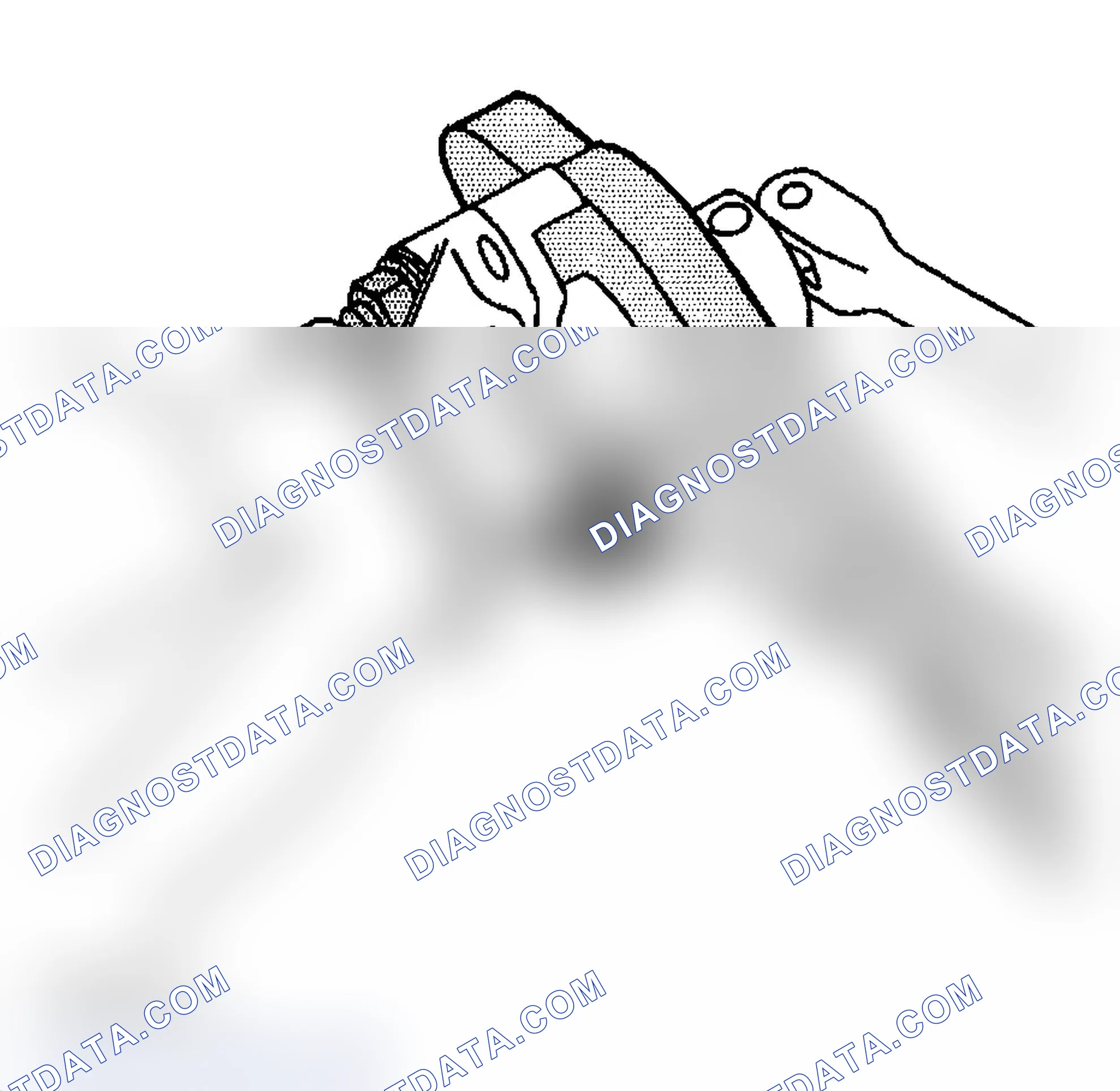 Scheme 338