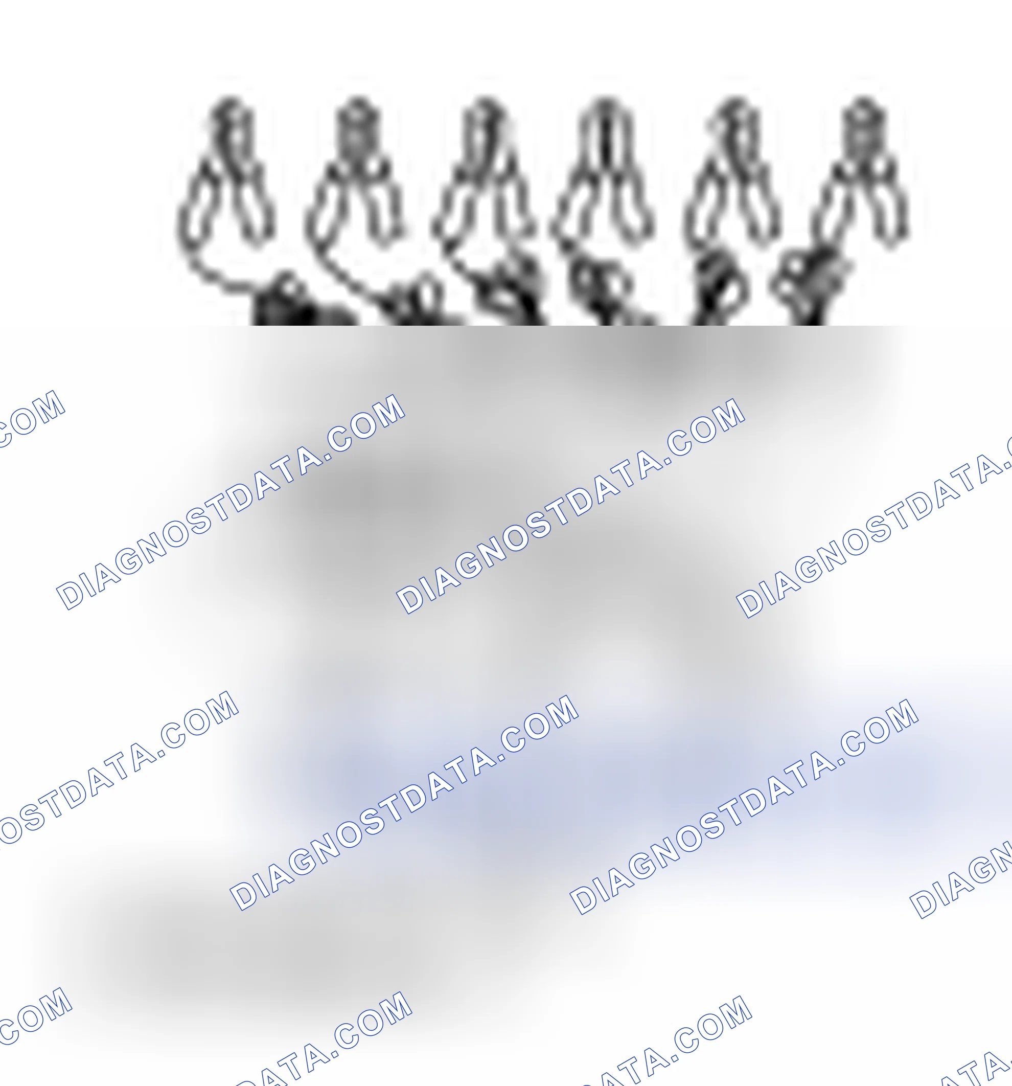 Scheme 5