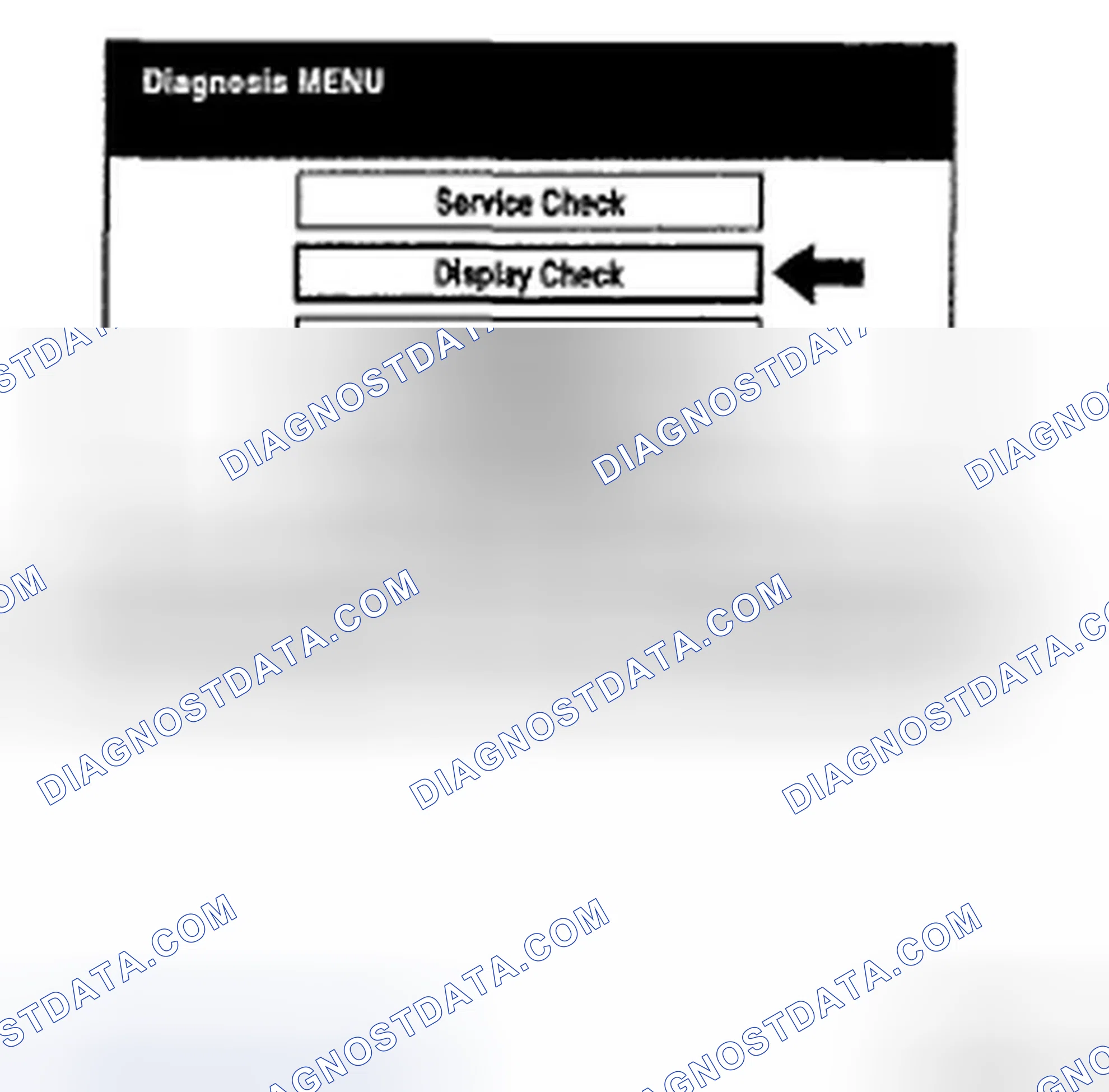 Scheme 304