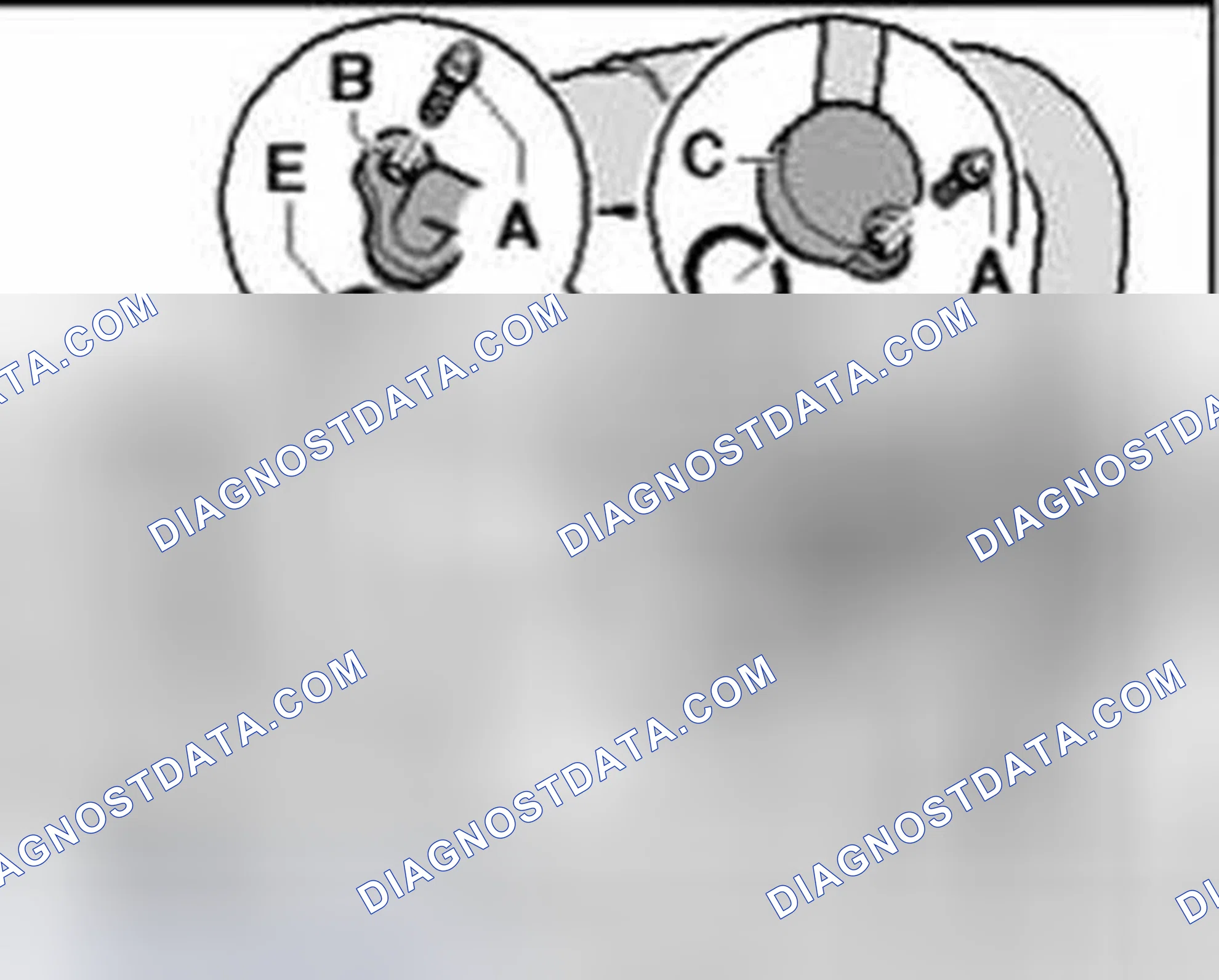 Scheme 113