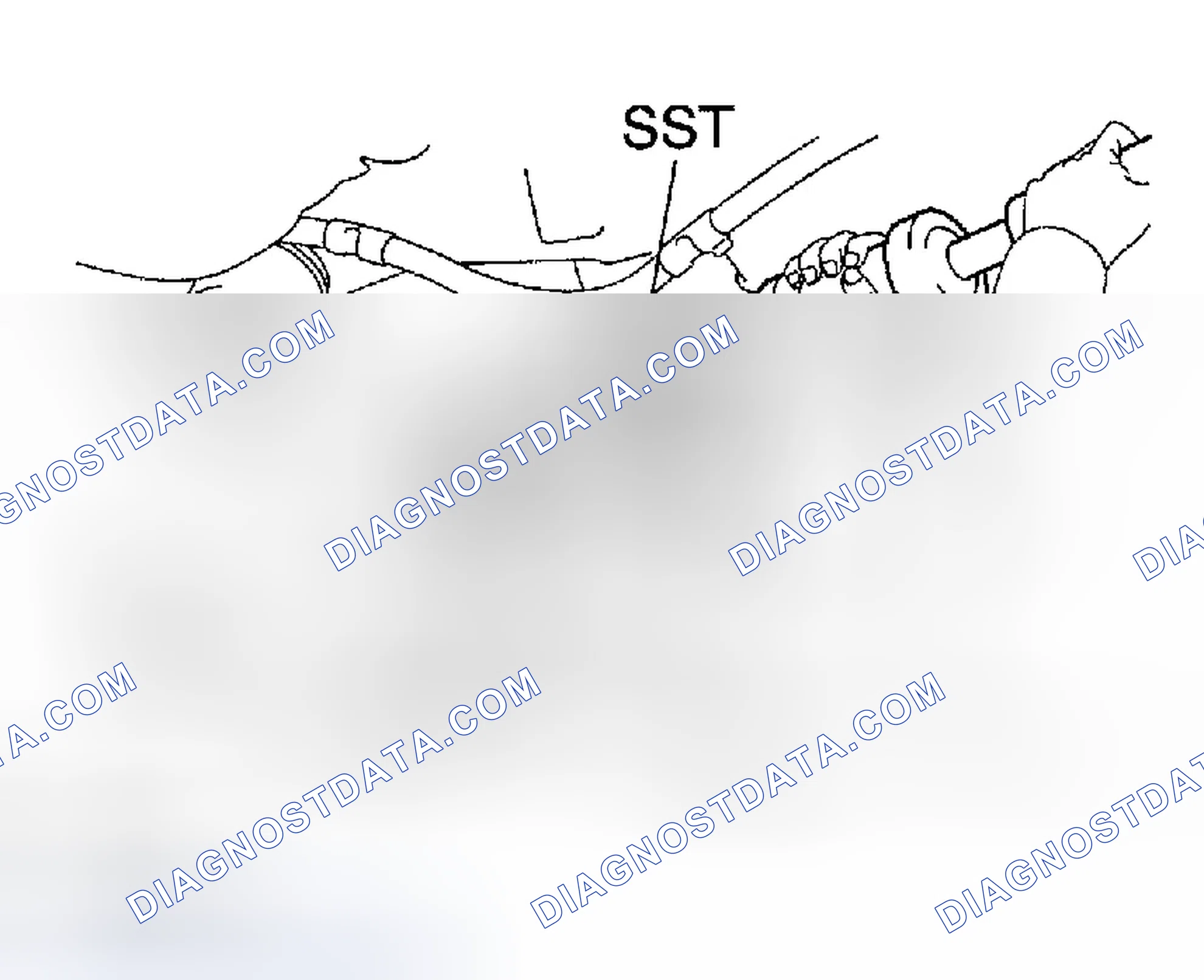 Scheme 5