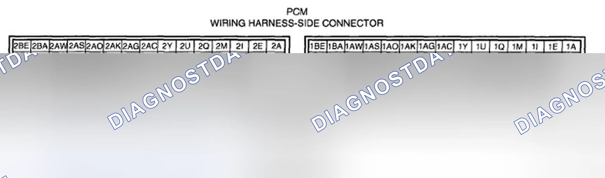 Scheme 118