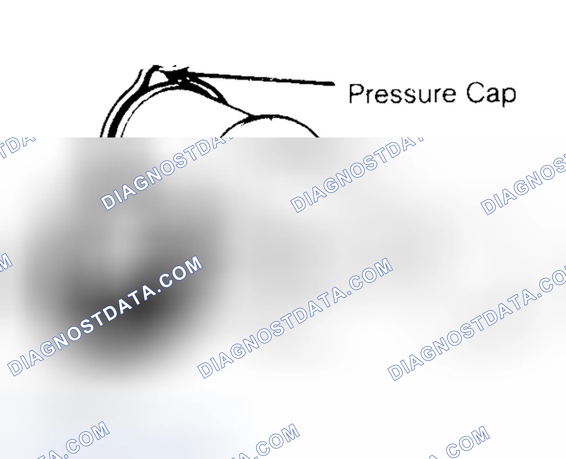 Scheme 2: Pressure Testing Radiator Cap