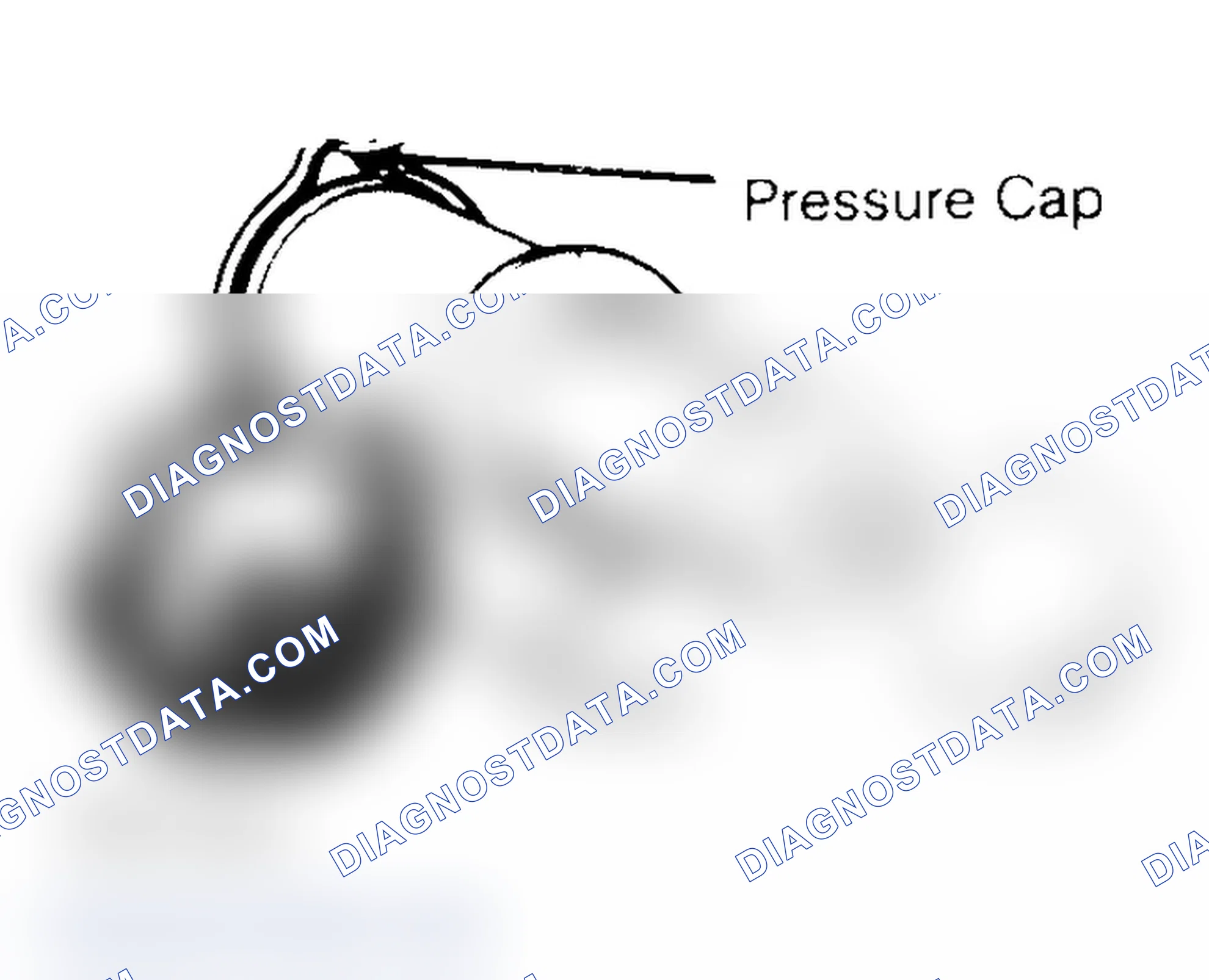 Scheme 2: Pressure Testing Radiator Cap
