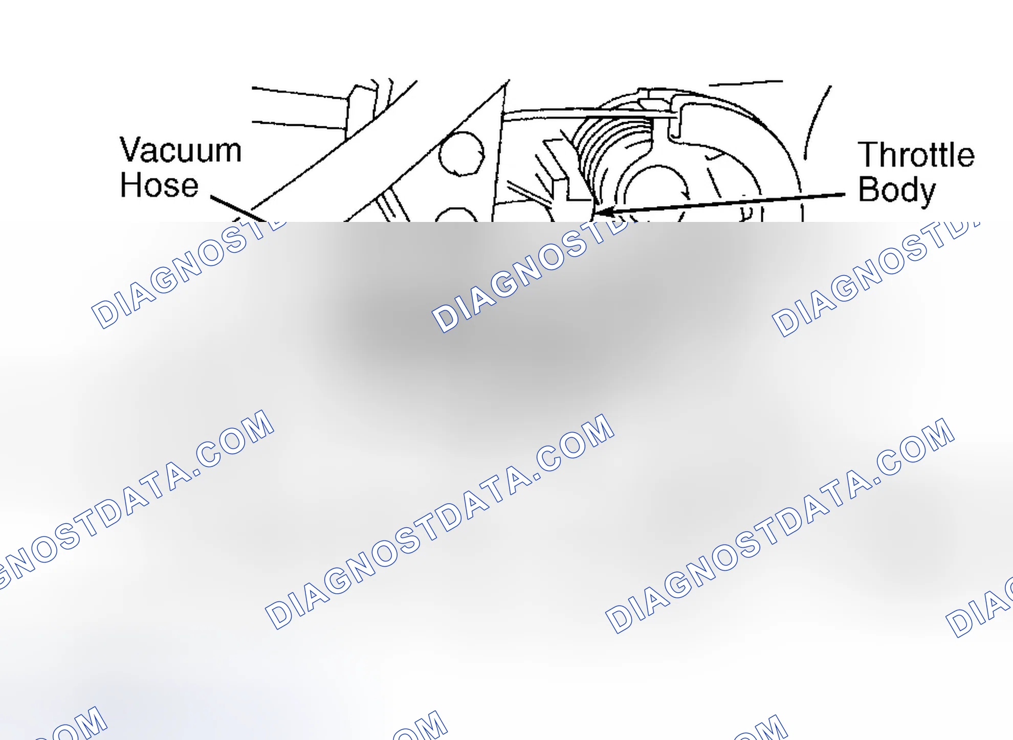 Scheme 359: Tacoma