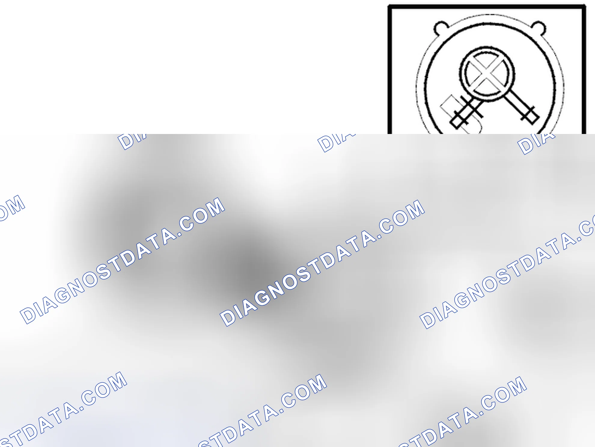 Scheme 338