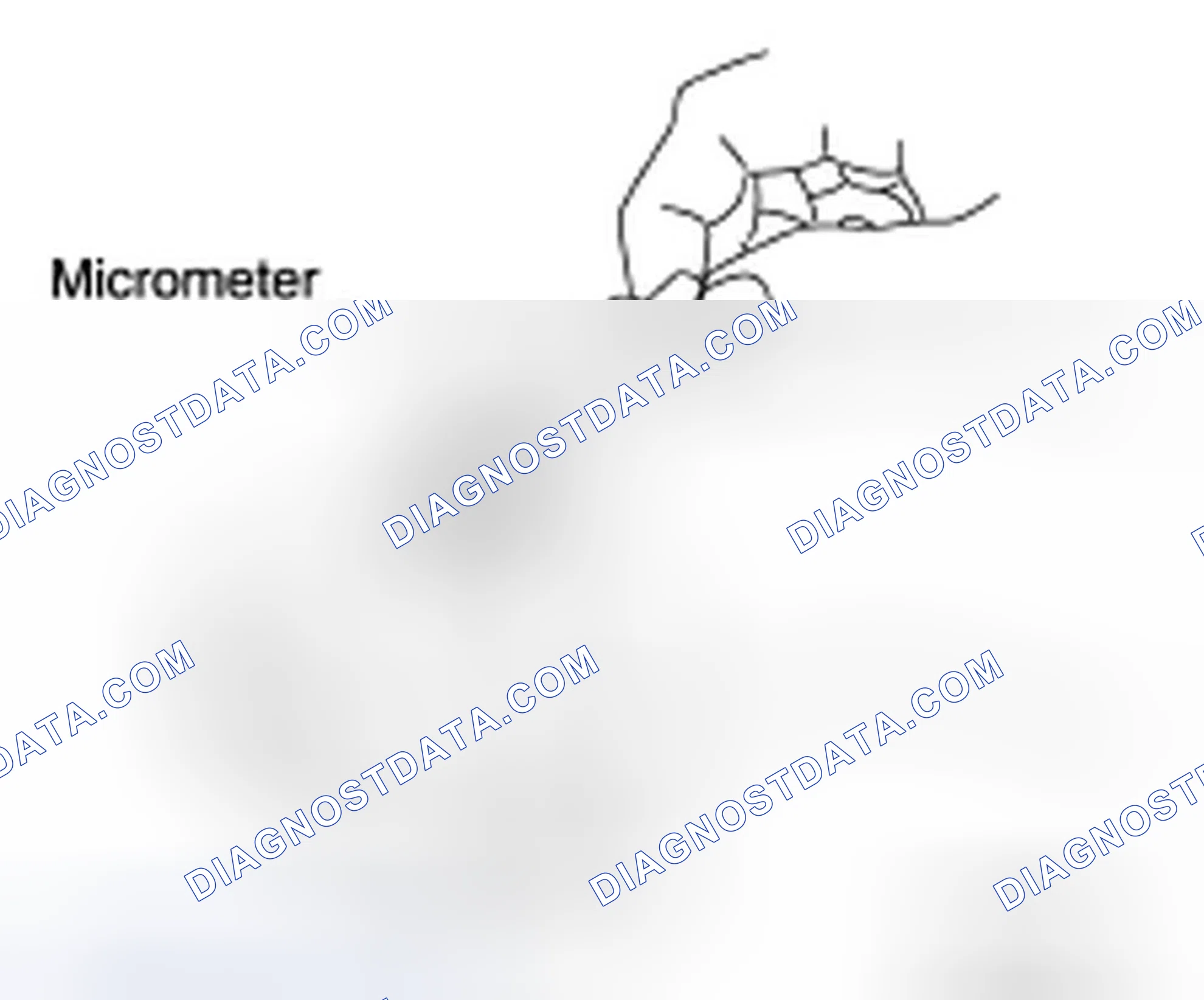 Scheme 7: ADJUSTMENT
