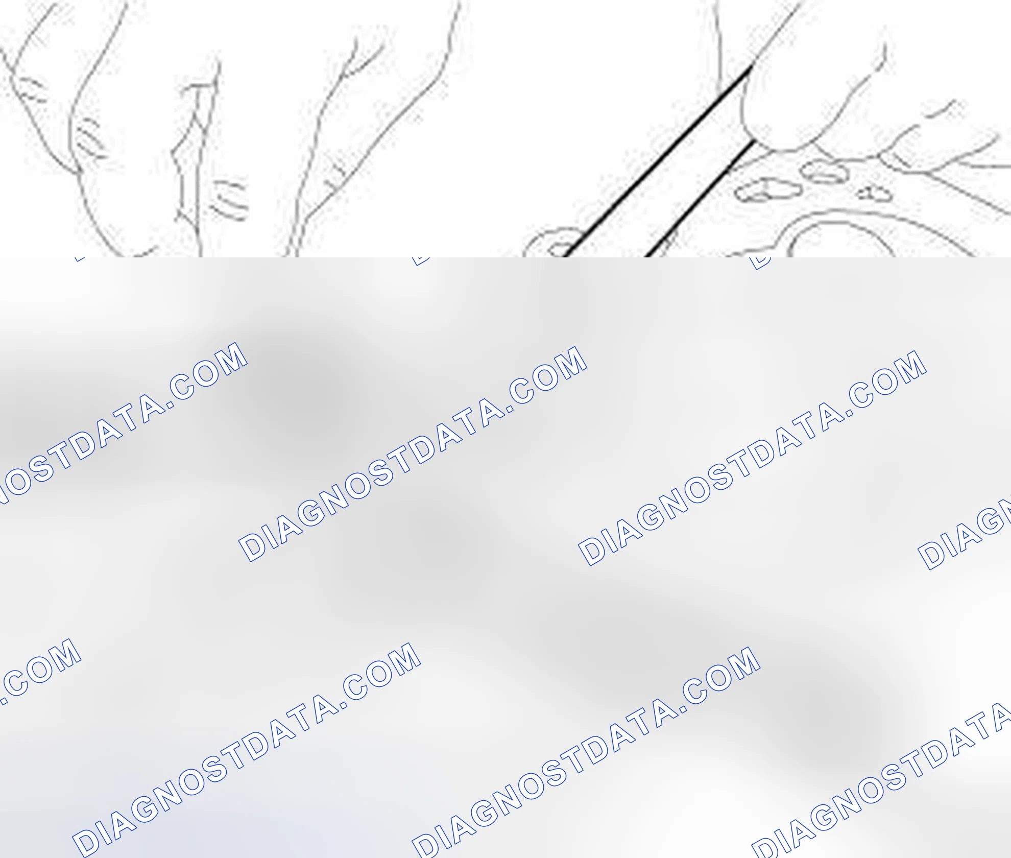 Scheme 544: INSPECTION