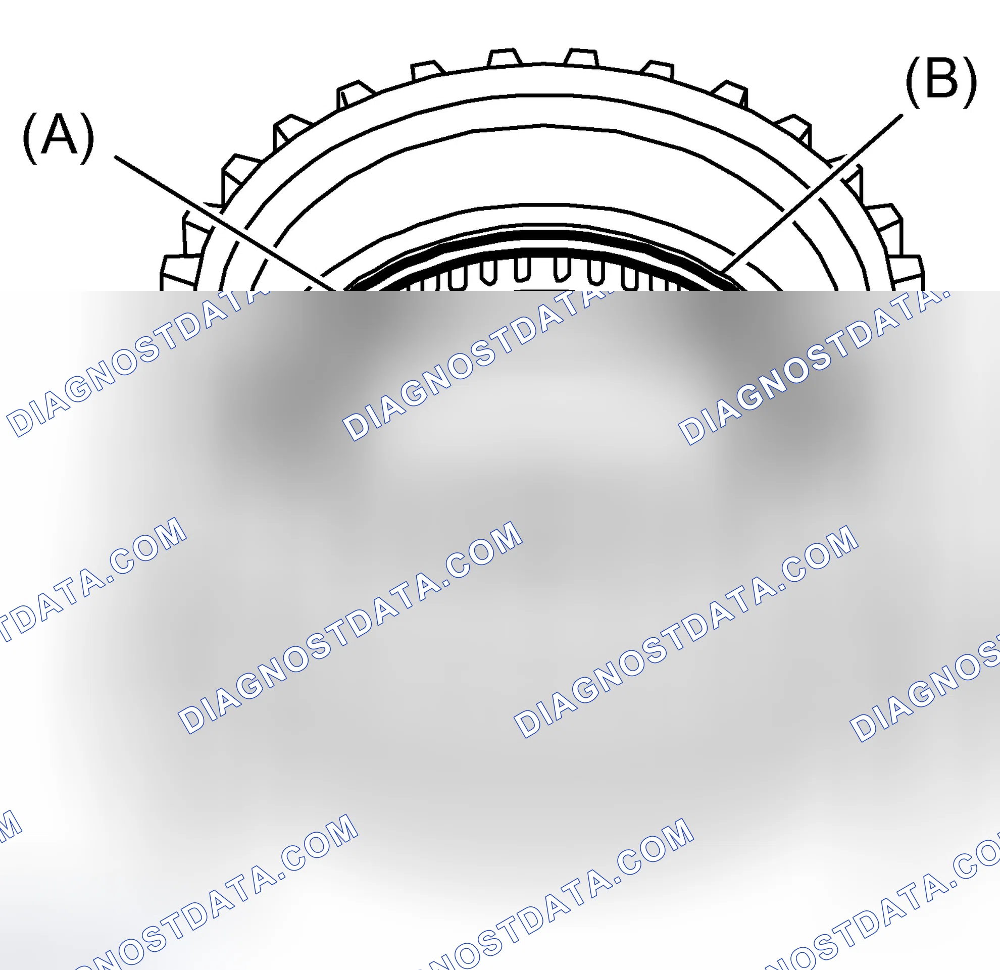 Scheme 509