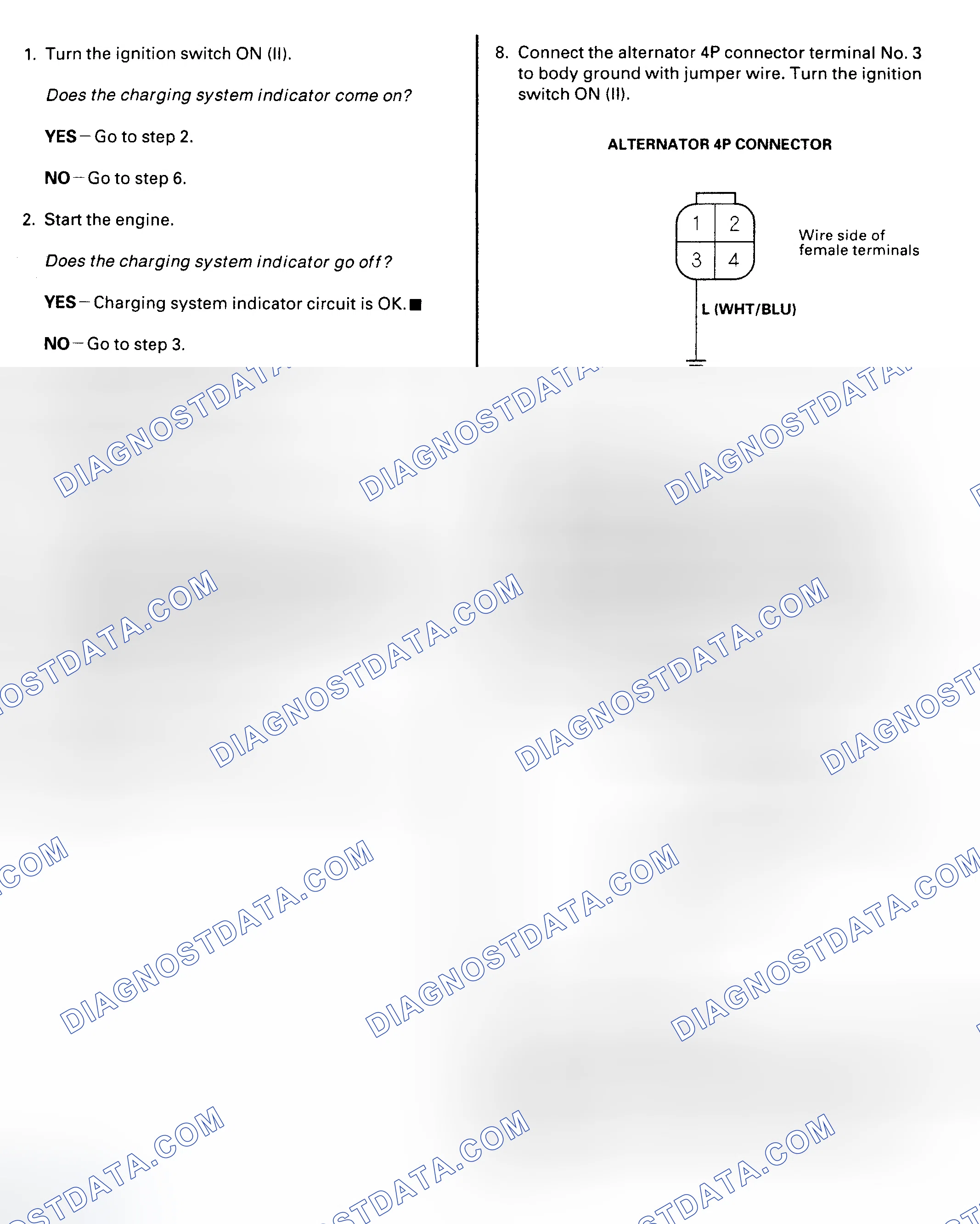 Scheme 3: Charging System Indicator Test