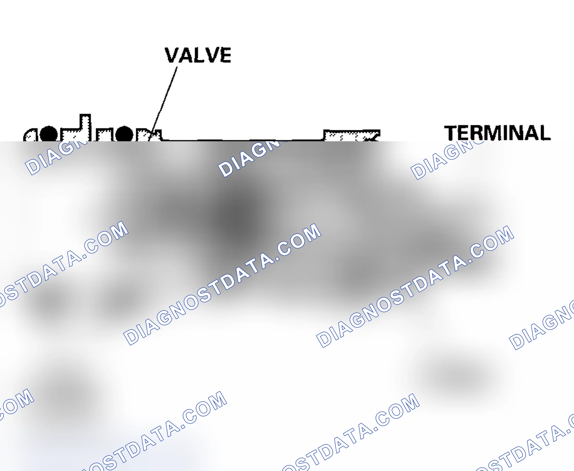 Scheme 44: EVAP Canister Vent Shut Valve