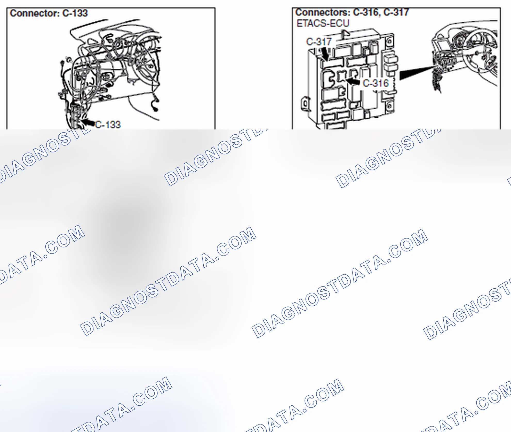 Scheme 893