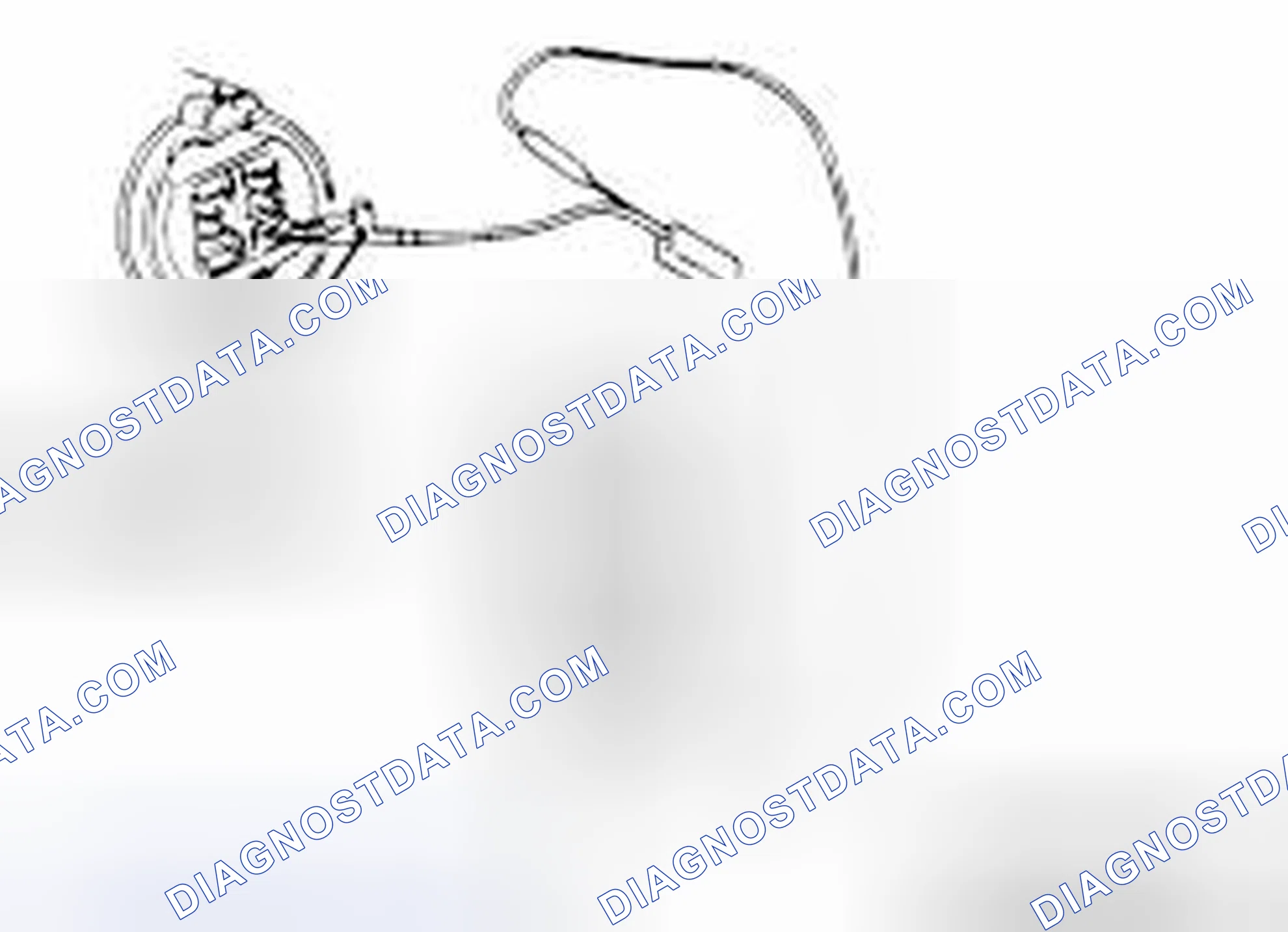 Scheme 20: IF INSPECTING WITH THE CONNECTOR DISCONNECTED