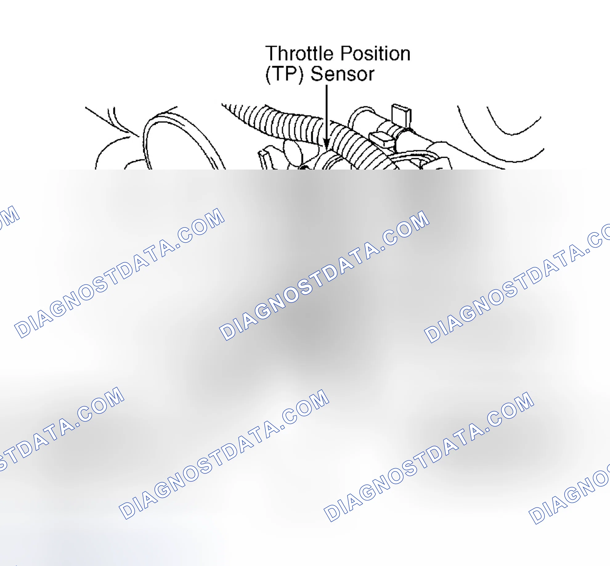 Scheme 3: Front Of Engine (3.2L)