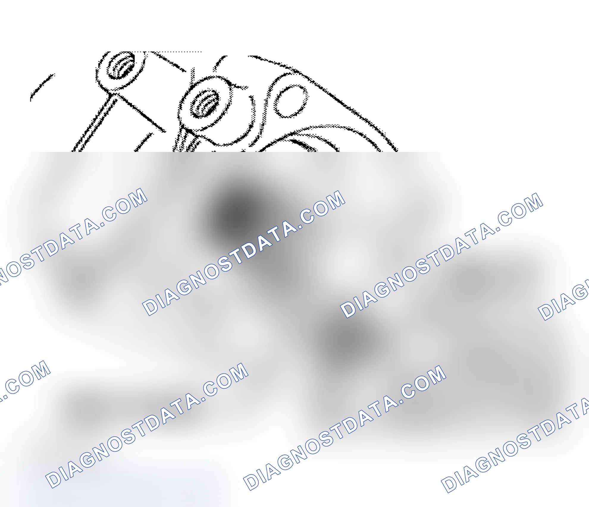 Scheme 346: Pulling Out Seal For Driveshaft Flange