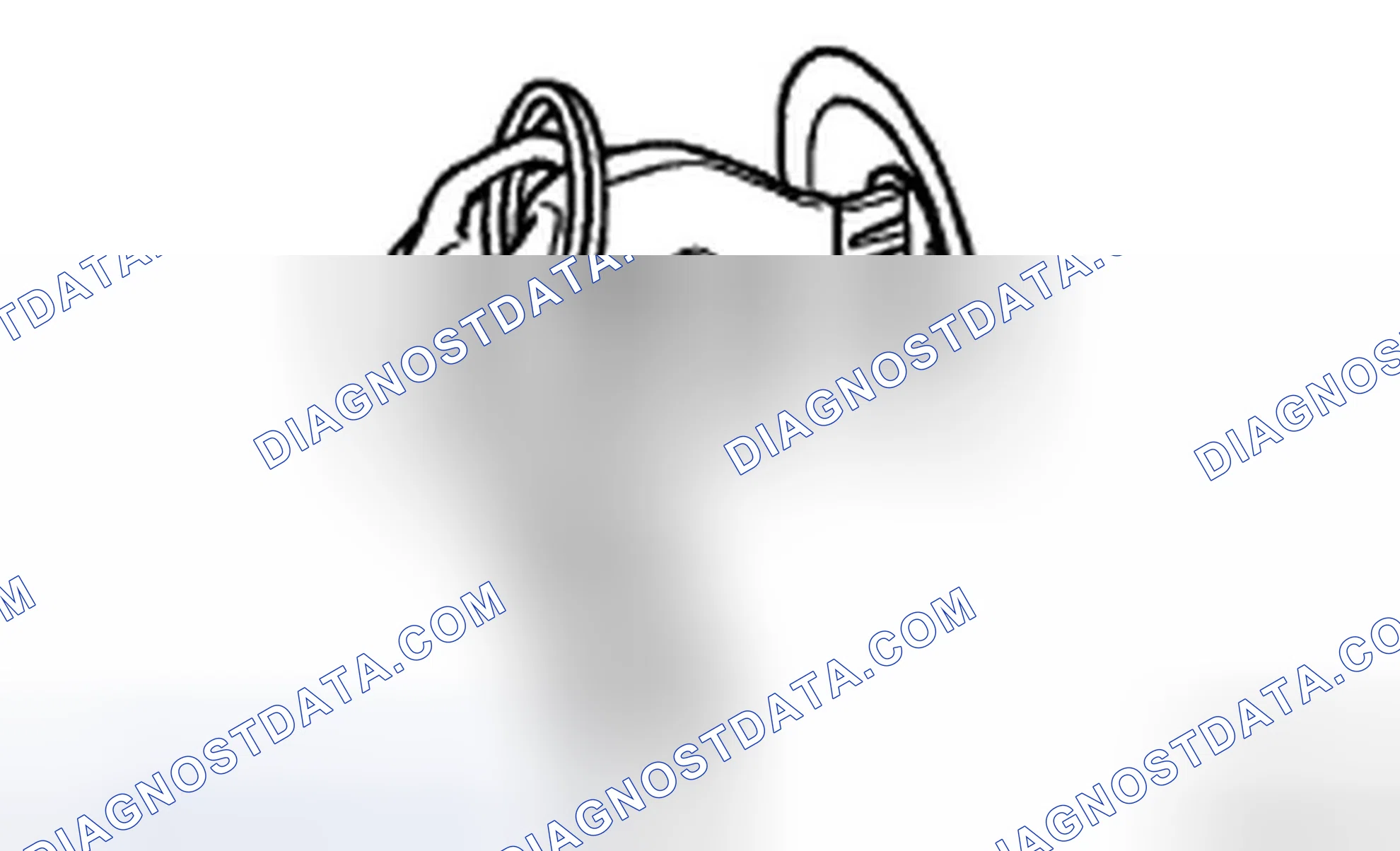 Scheme 7: INSPECTION PROCEDURE