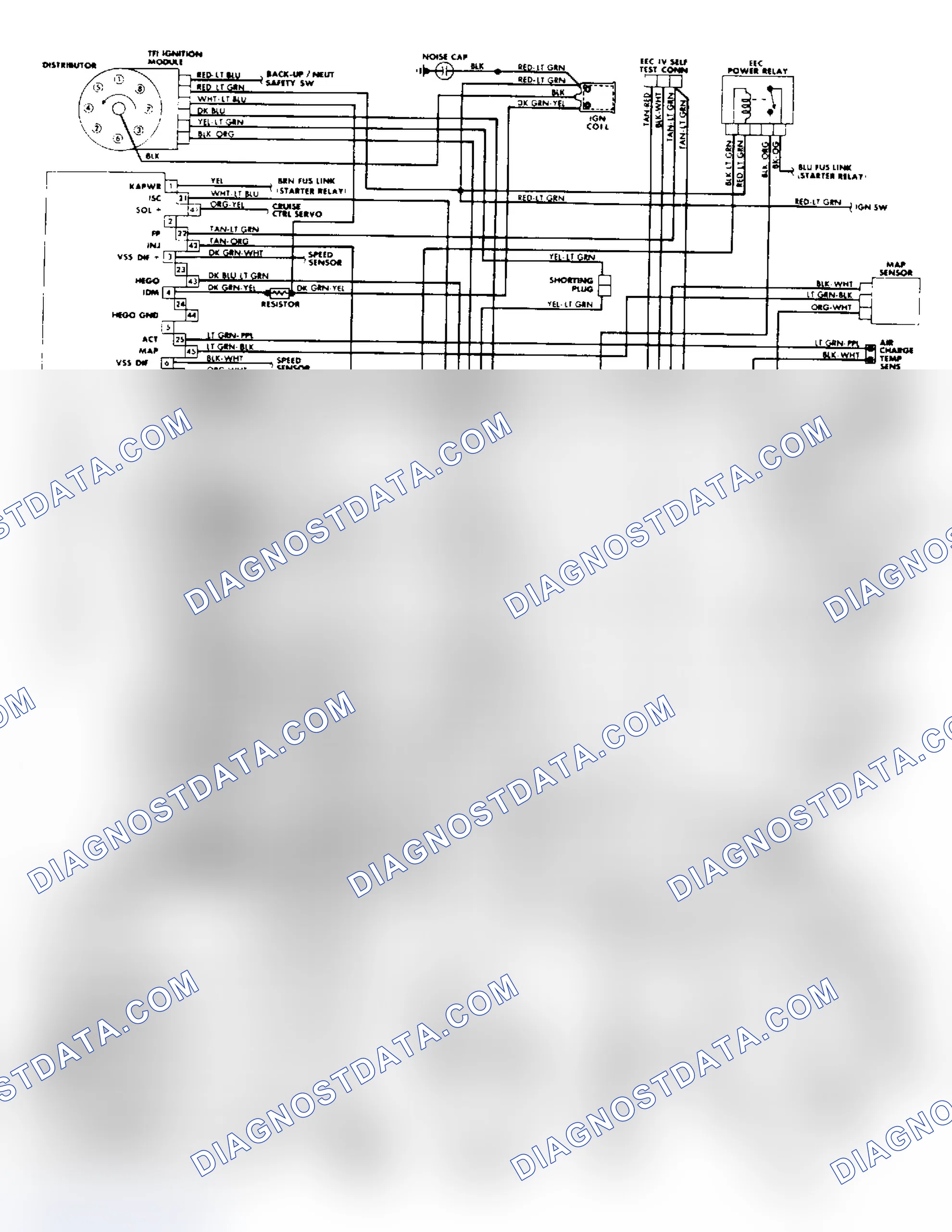 Scheme 19: 5.0L SEFI EEC-IV Wiring Diagram (Town Car)