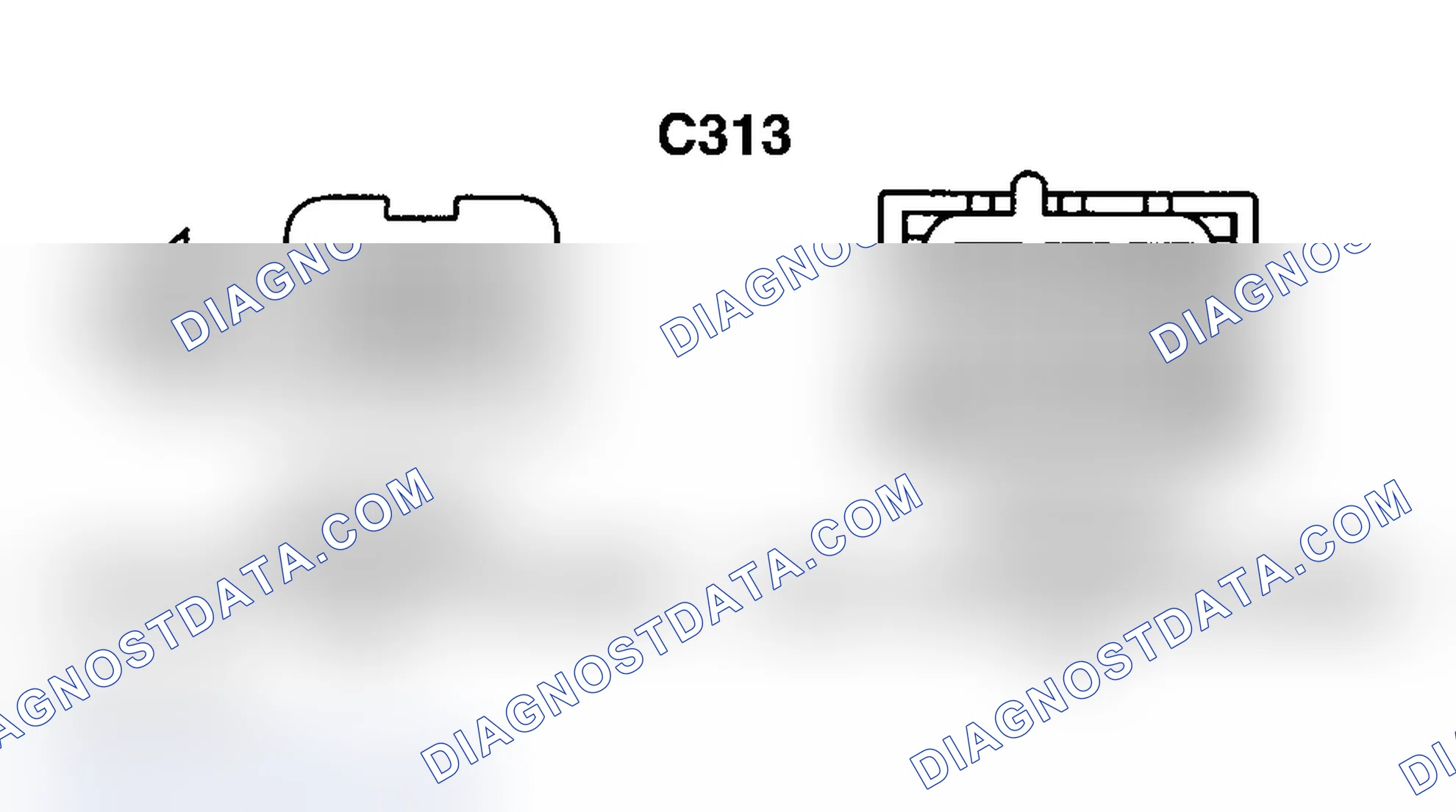 Scheme 42: C313