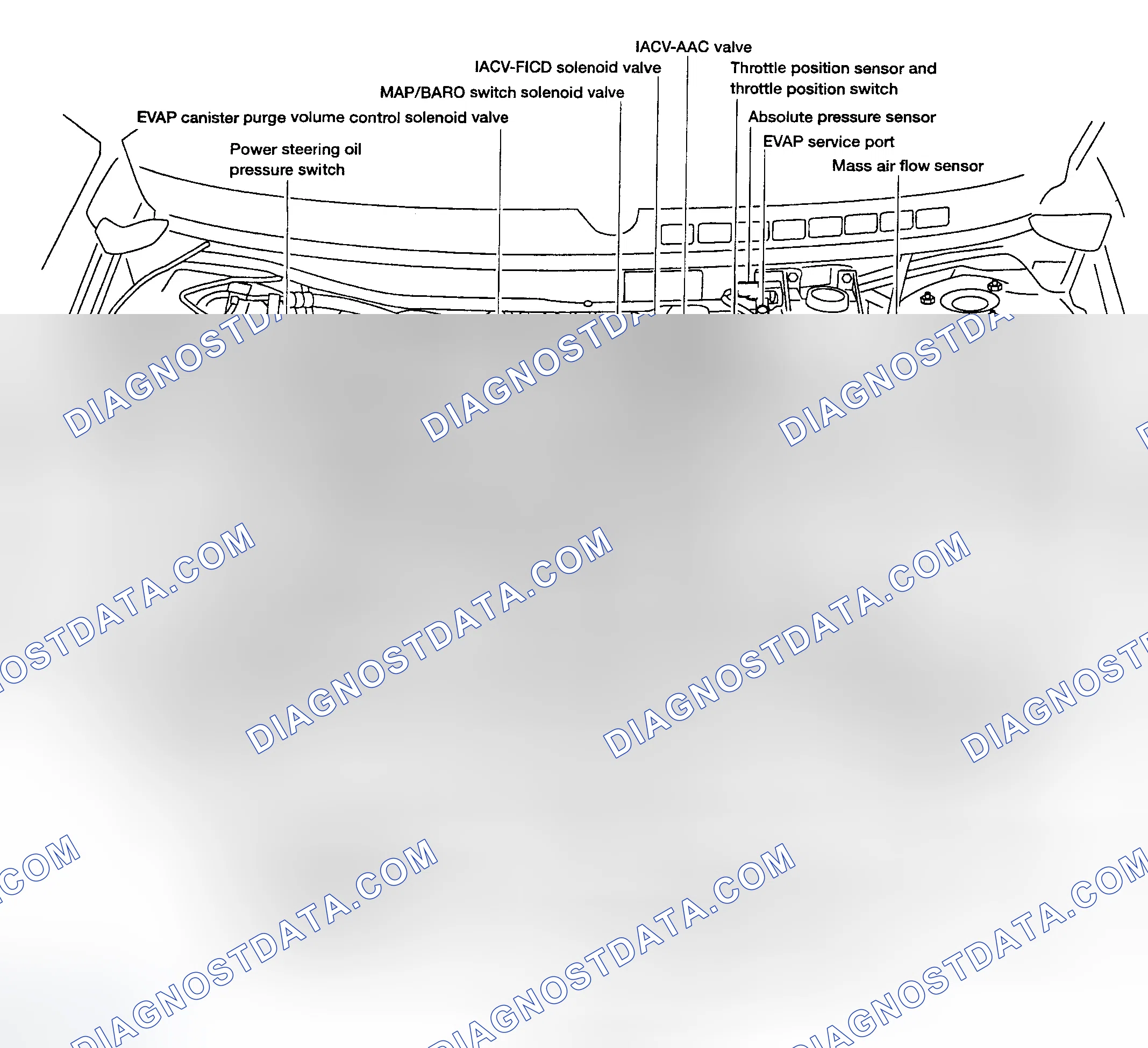 Scheme 104
