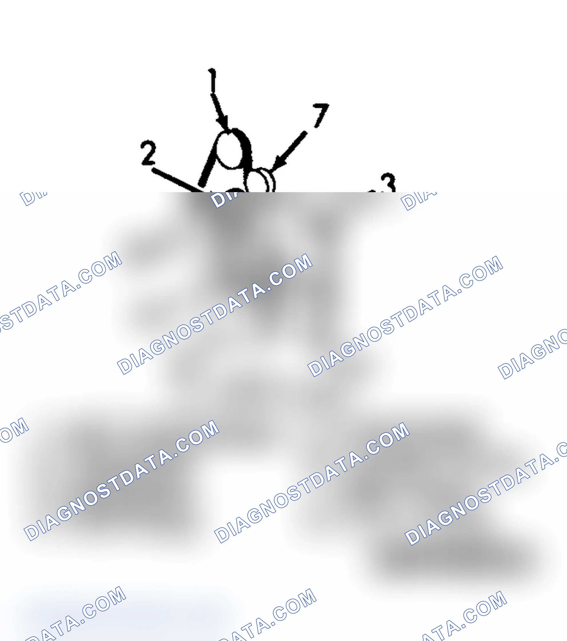 Scheme 5: SERPENTINE BELT ROUTING (7.4L, "C" 15)