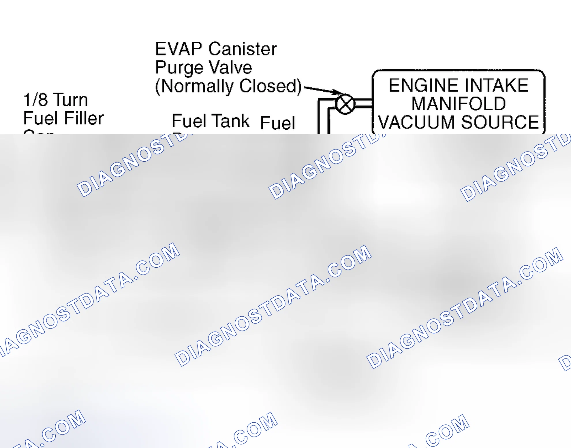 Scheme 40: Identifying EVAP System Components