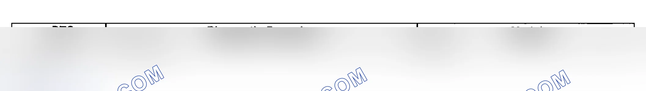Scheme 13: Scan Tool Data Definitions