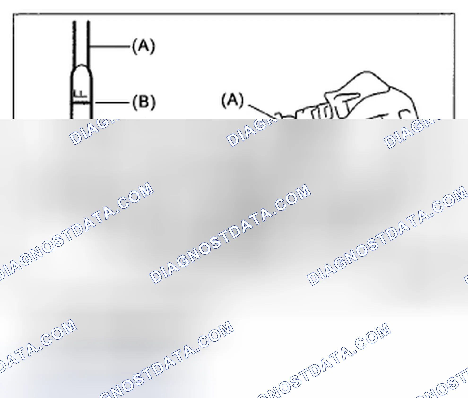 Scheme 191
