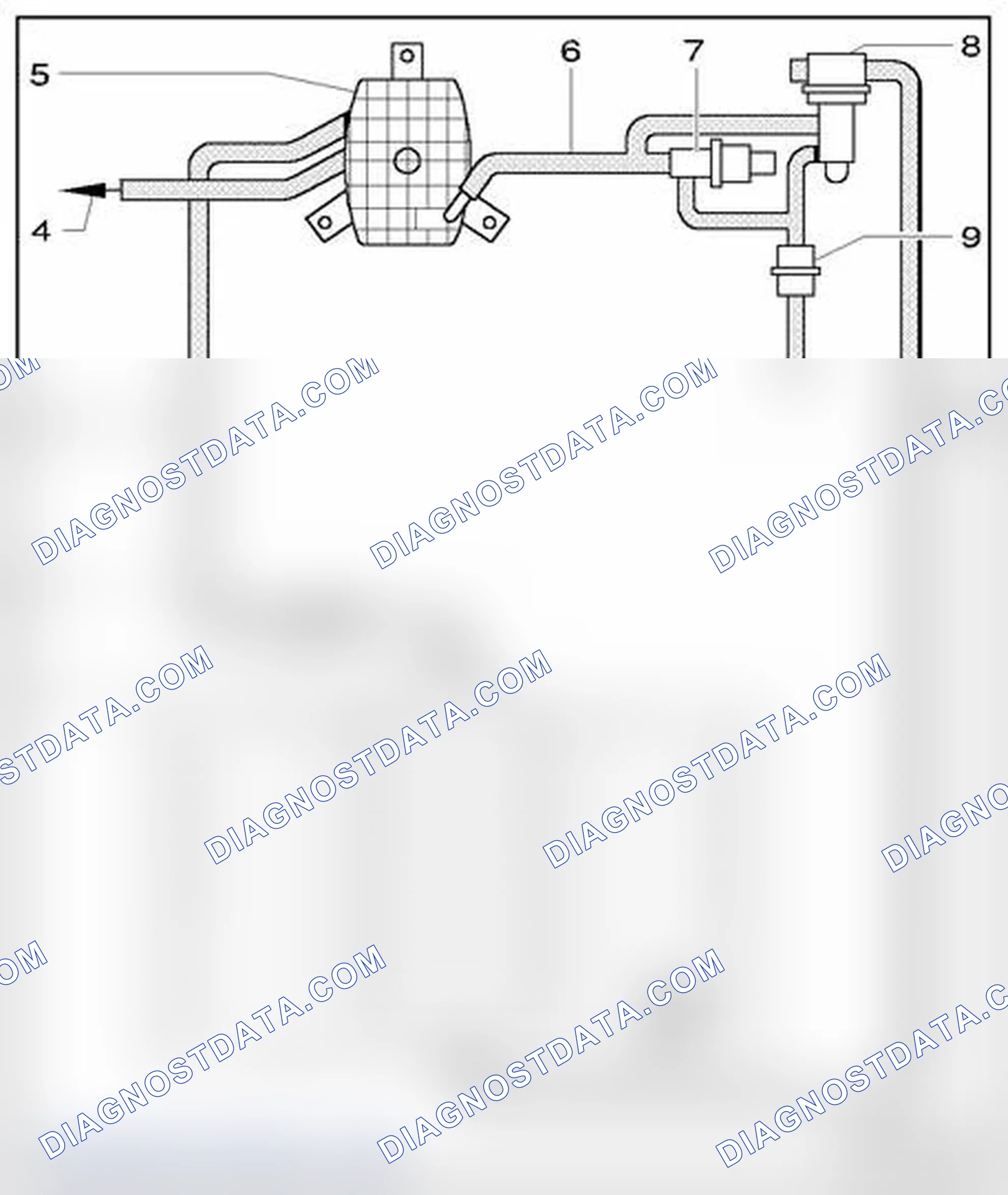 Scheme 91: Evaporative emissions (EVAP) system with leak detection system, vehicles with 8-cyl. engine, hose ro