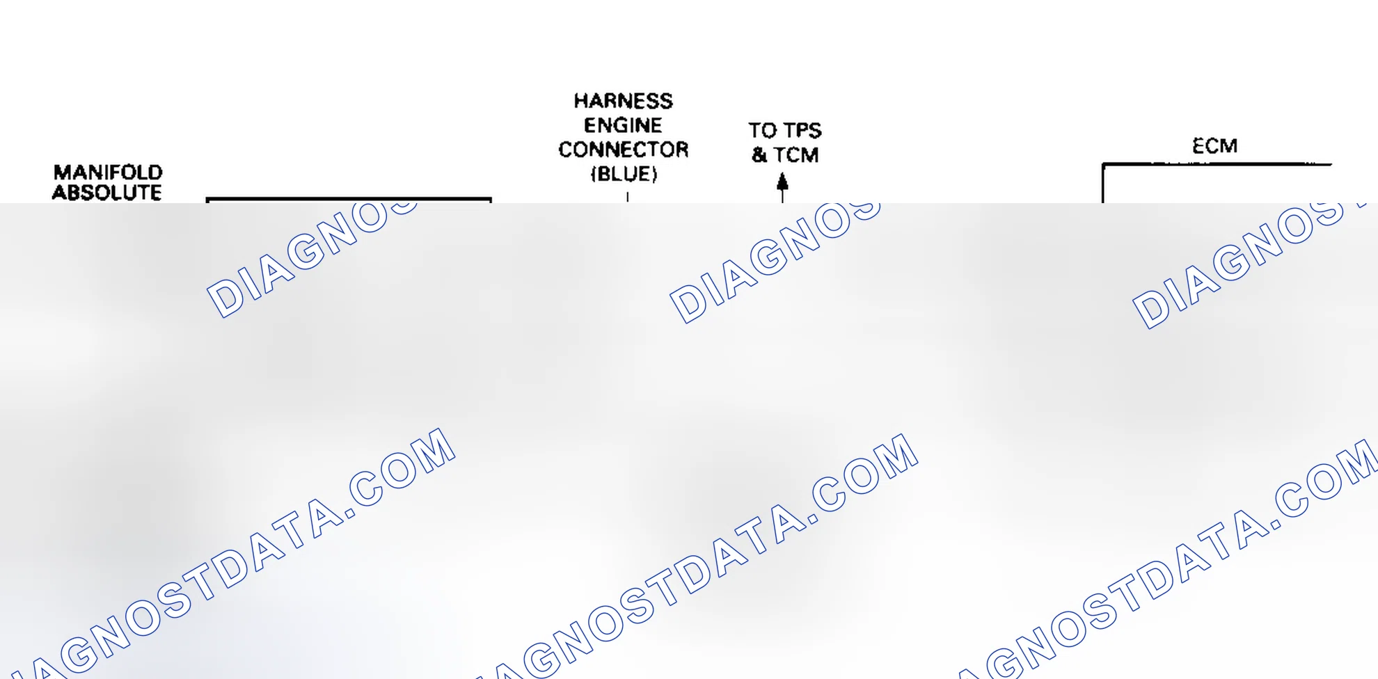 Scheme 90: Diagnostic Aids